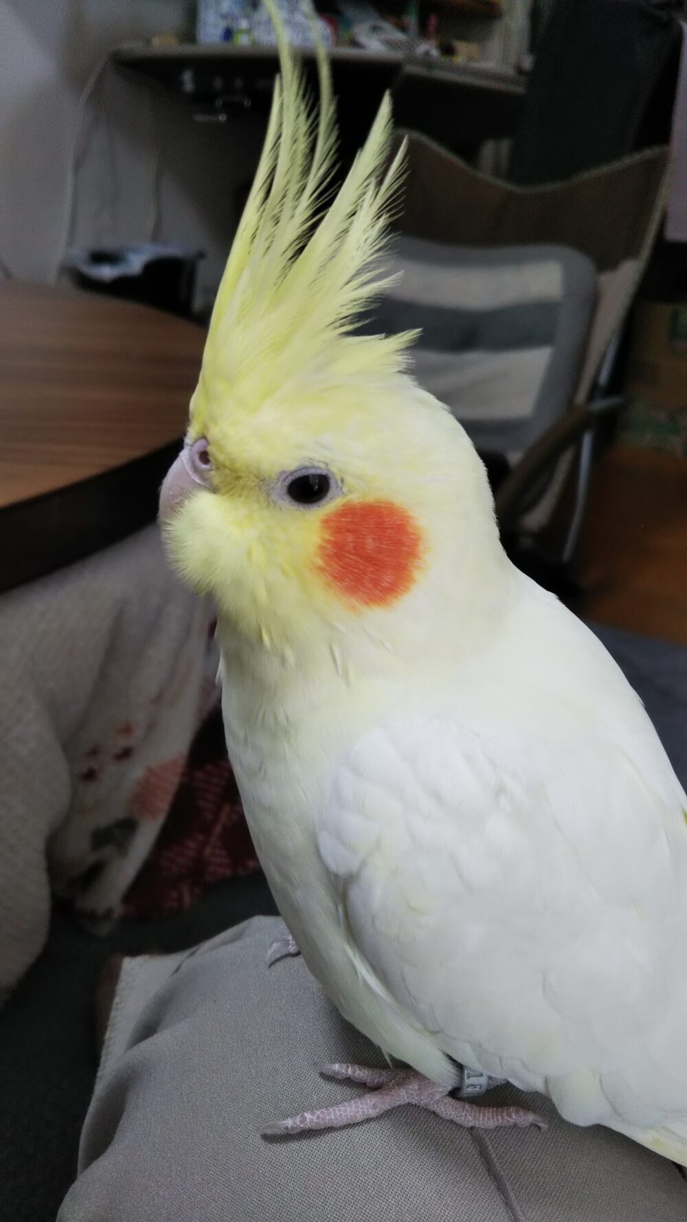 みこ