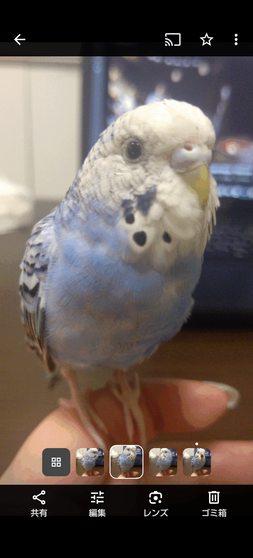 すずき
