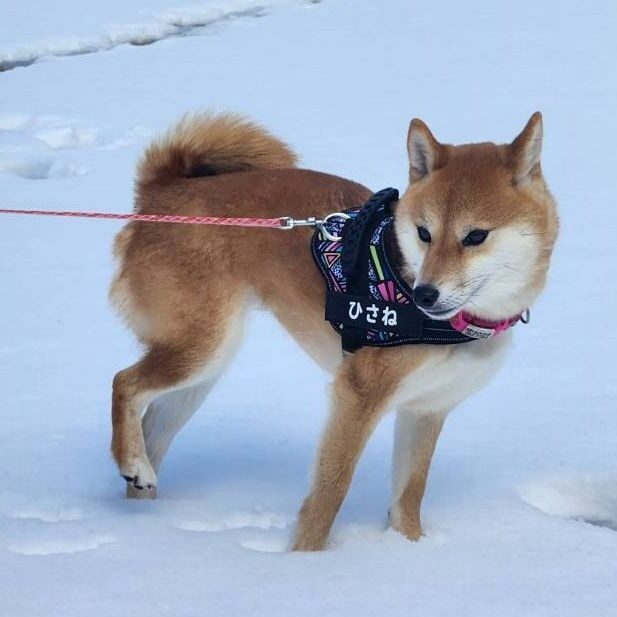なな