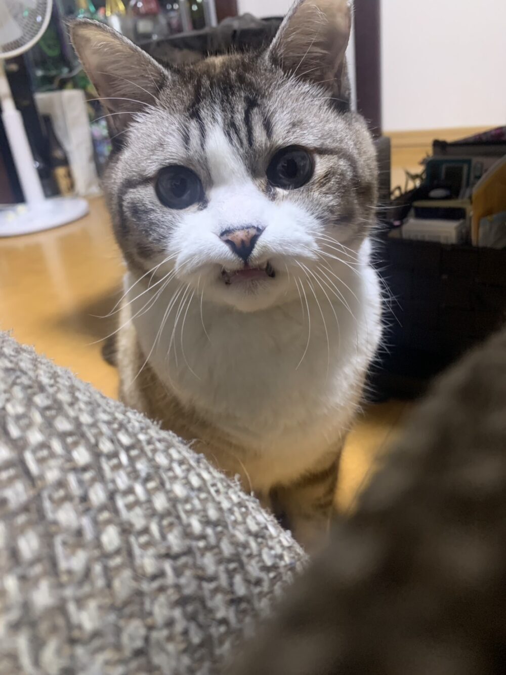 ゆう