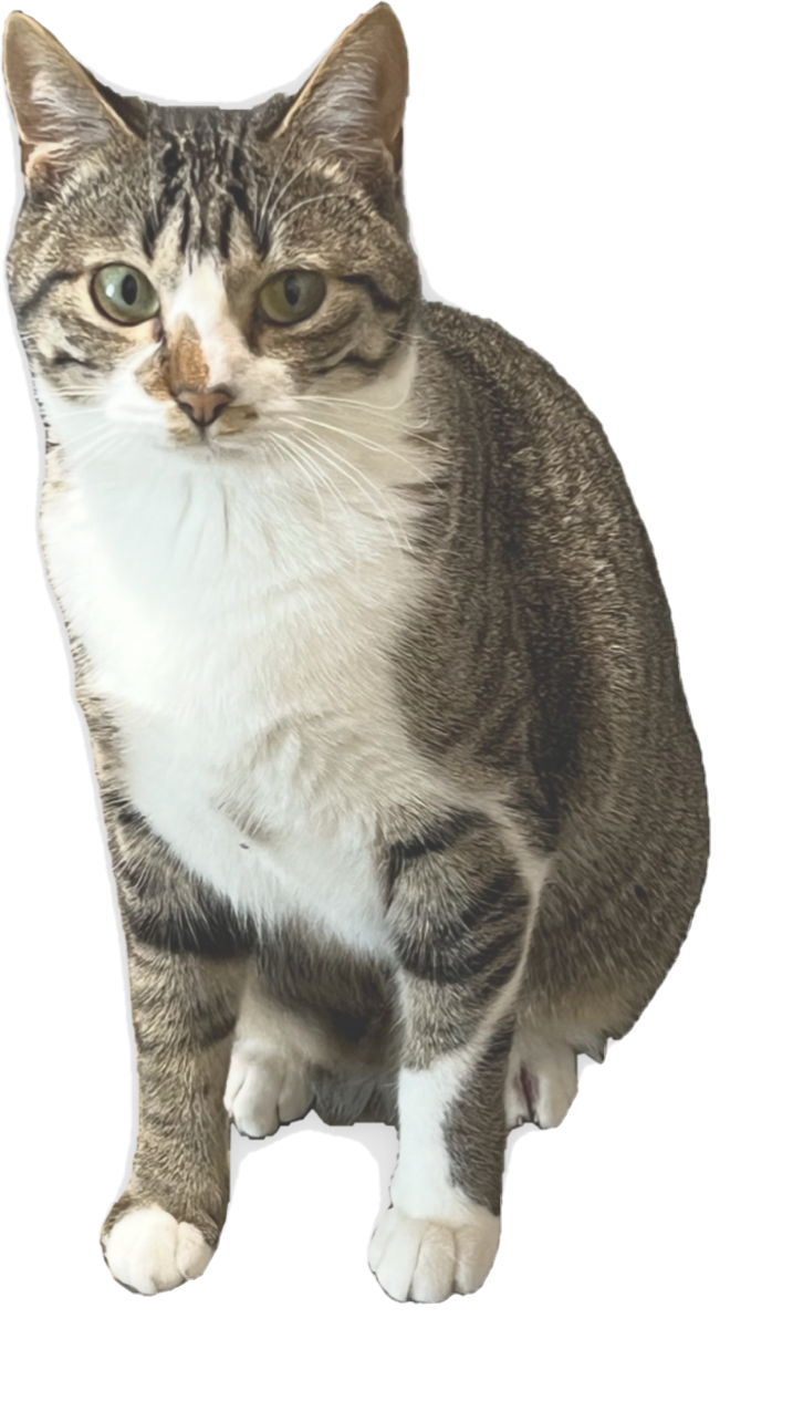 みな