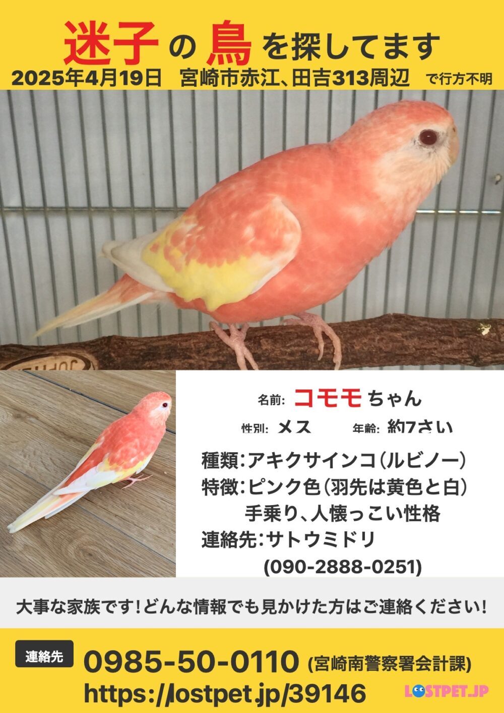 みどり