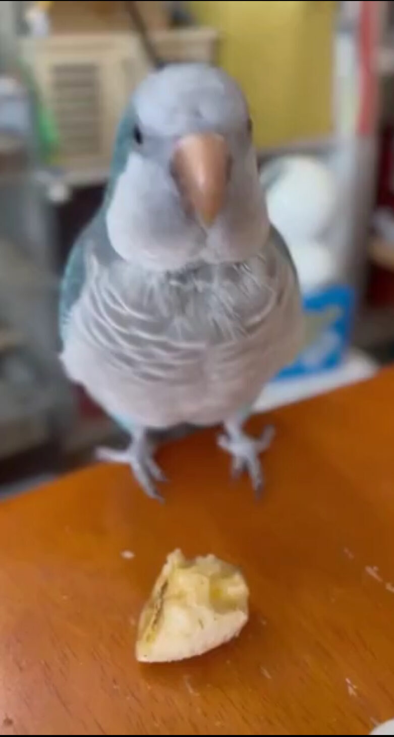 オキナ