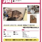 ハワイ