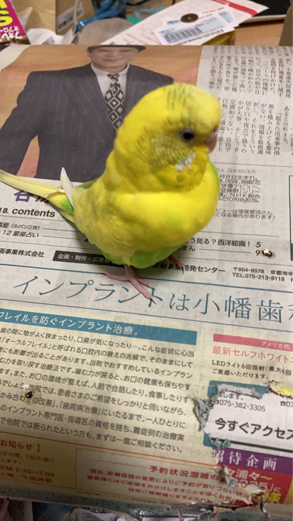 1761563260-1761556701-IMG_5728.jpeg