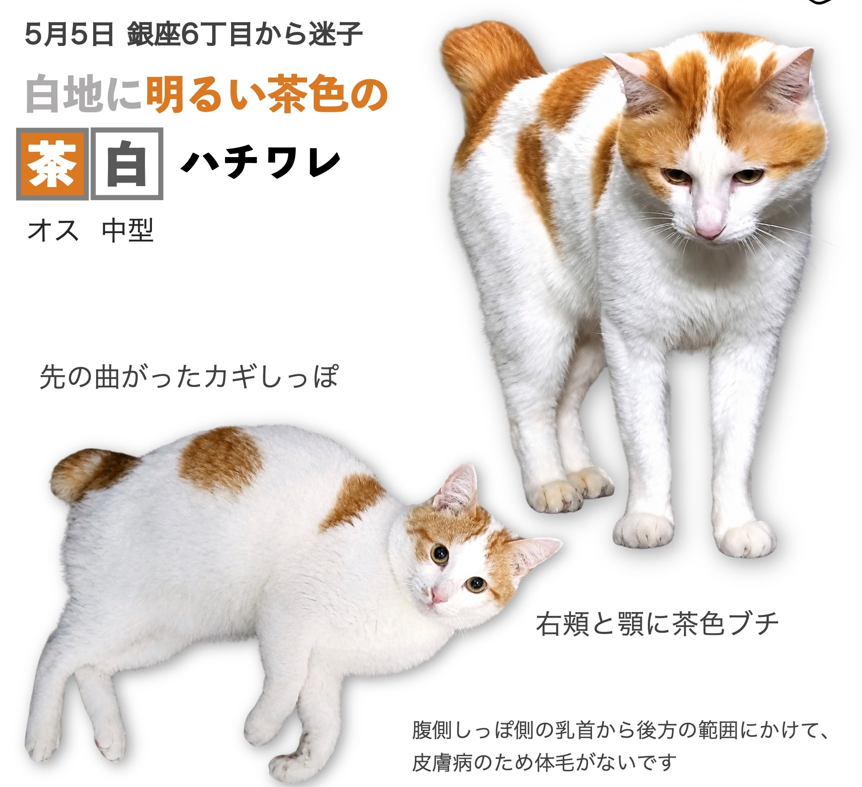 1778909347-profile_photo-31.png