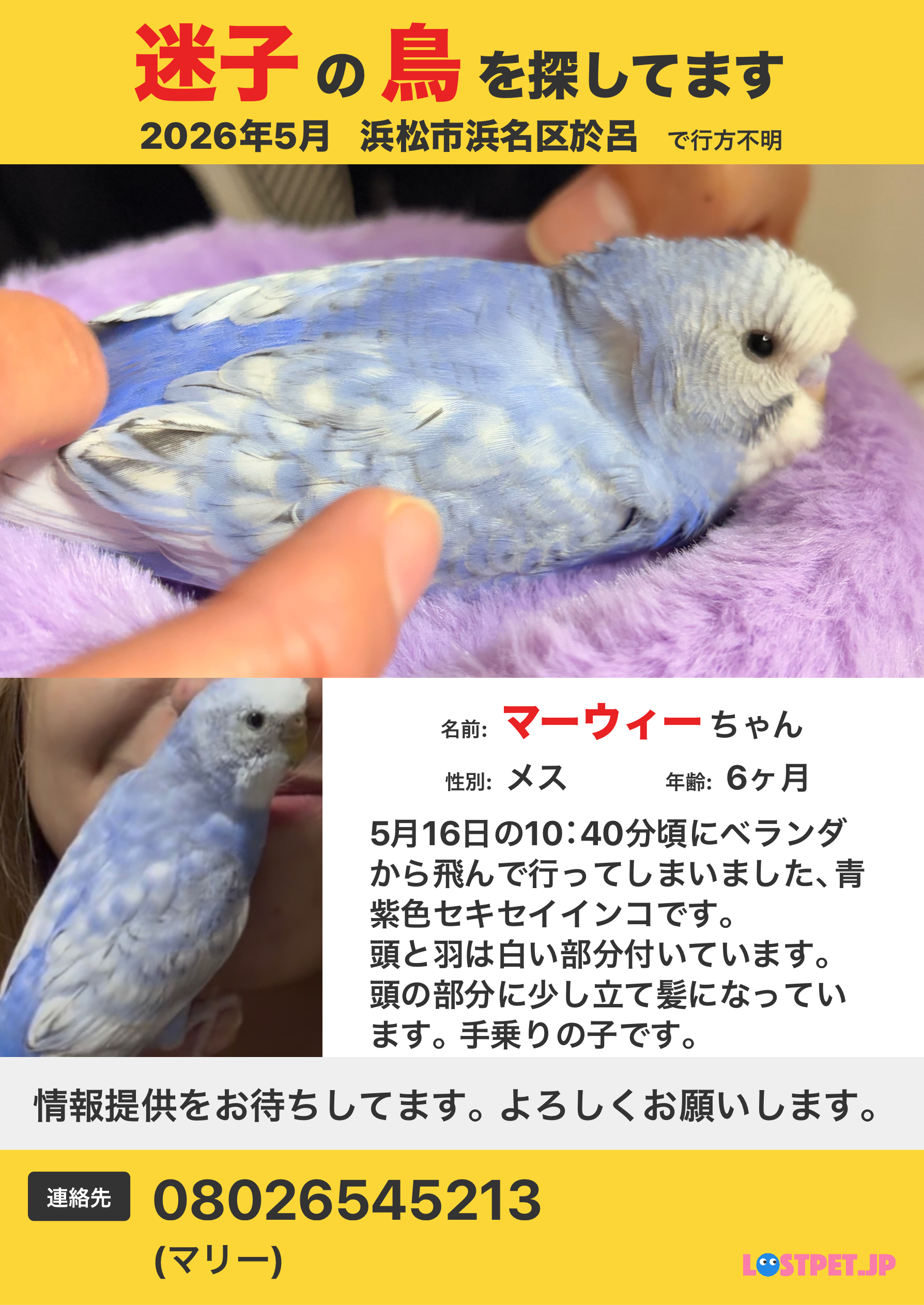 1779113658-1779112597-posterjpg.png