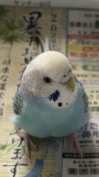 1789388817-1789385073-IMG_6847.jpeg