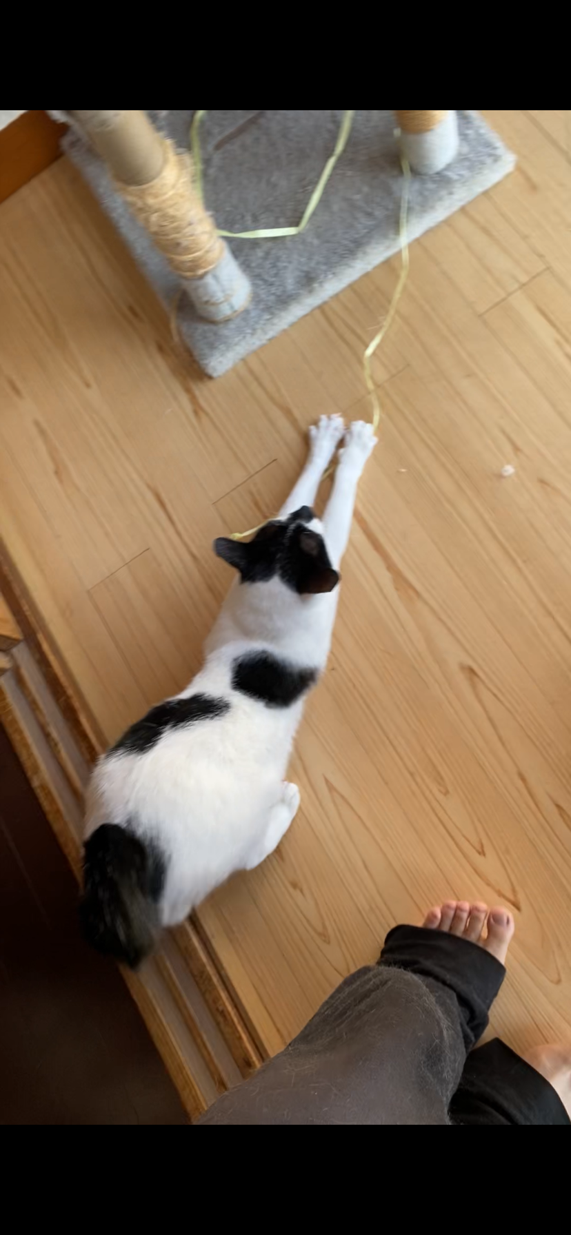 1778639988-IMG_3145.png