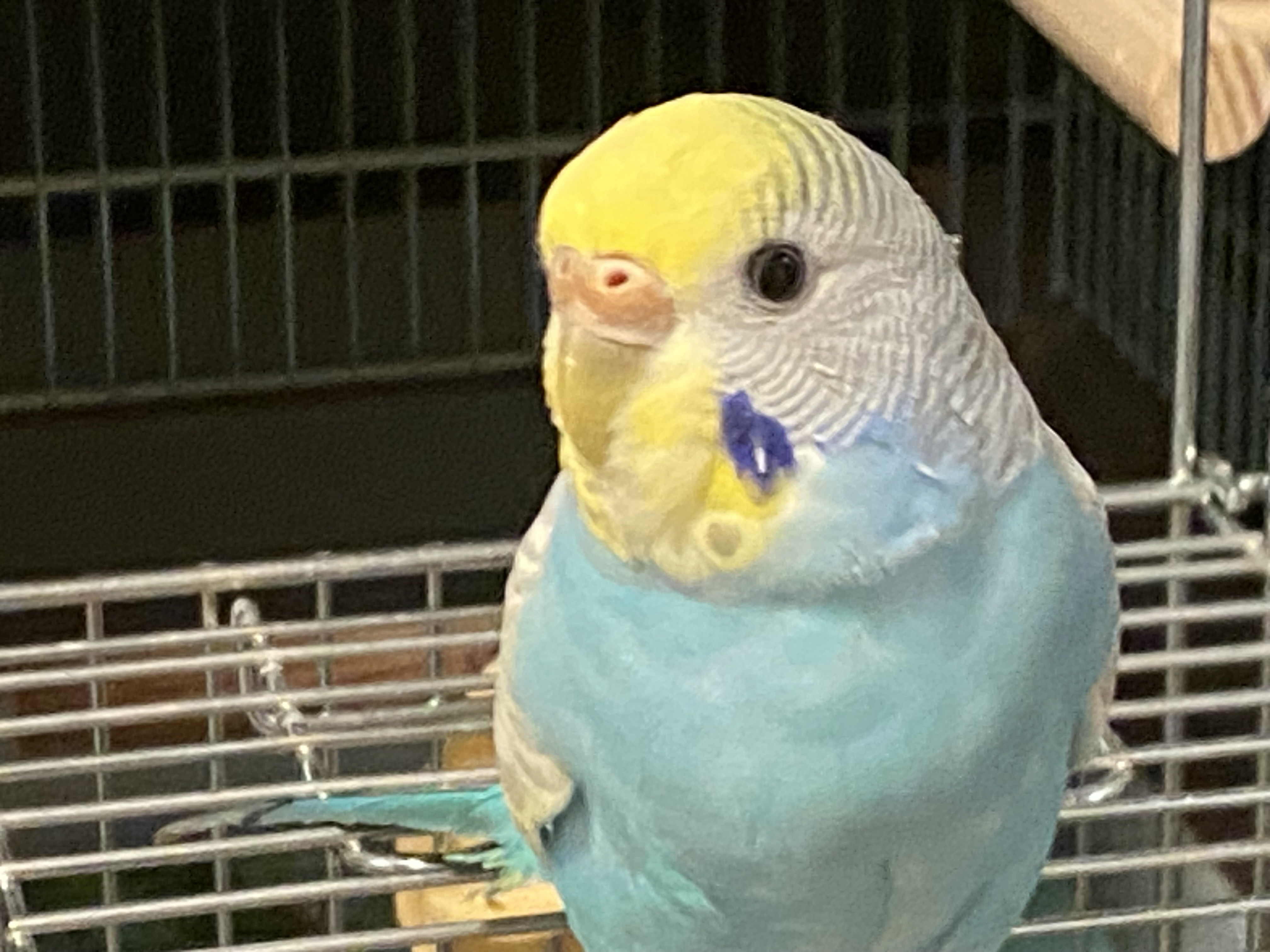 1781484577-IMG_7507.jpeg