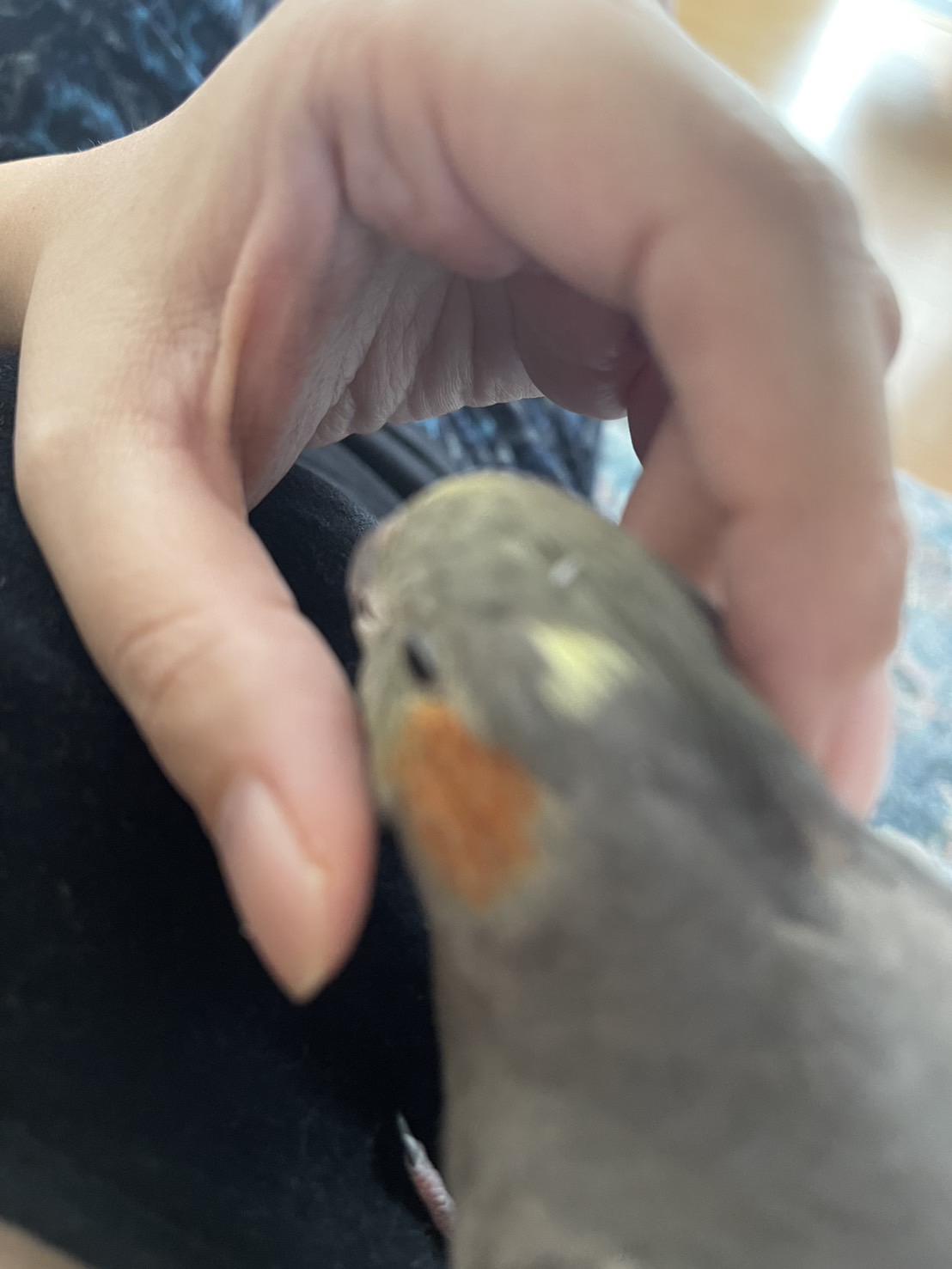 1781617532-IMG_4687.jpeg