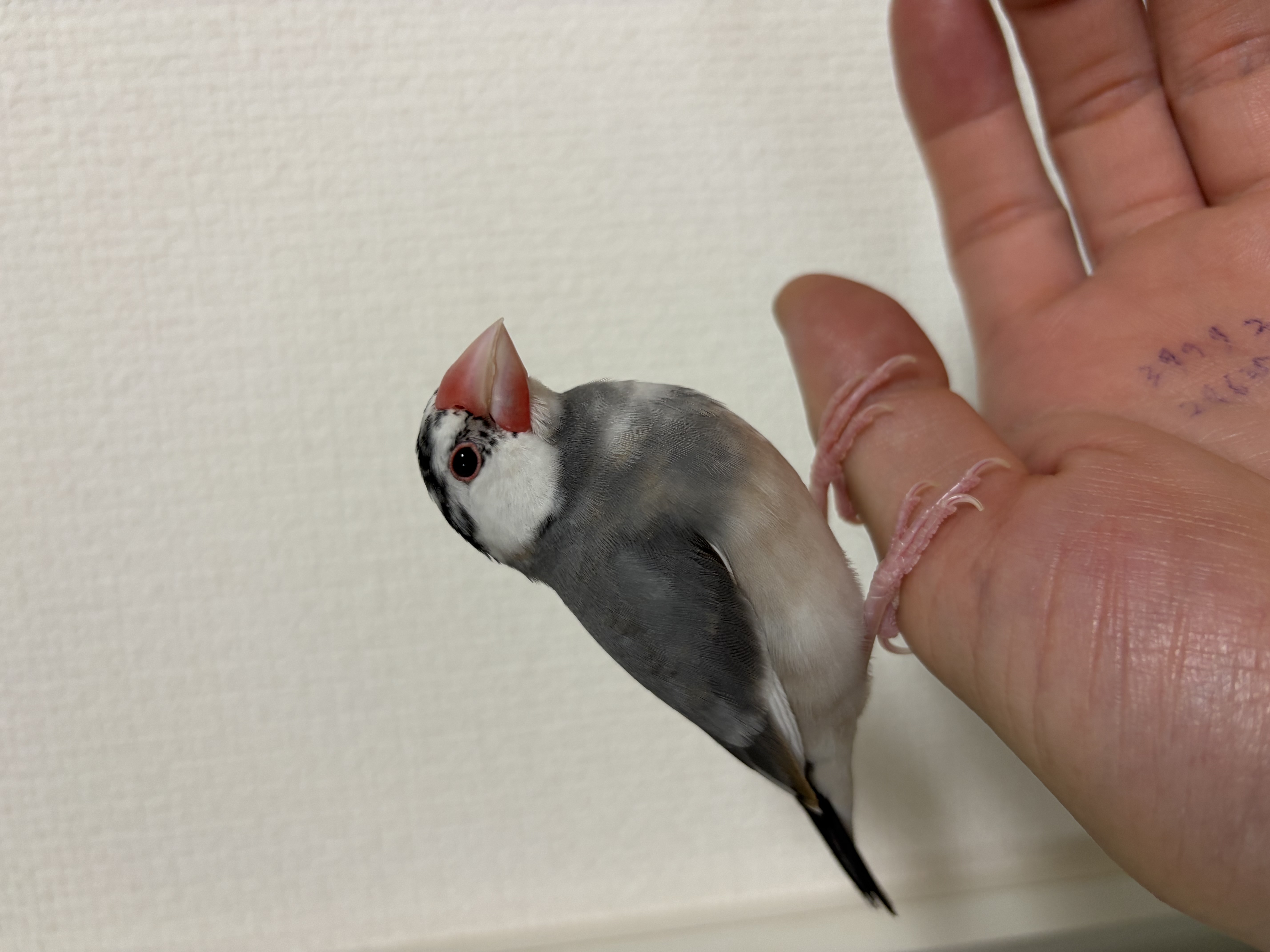 1783687915-IMG_9955.jpeg