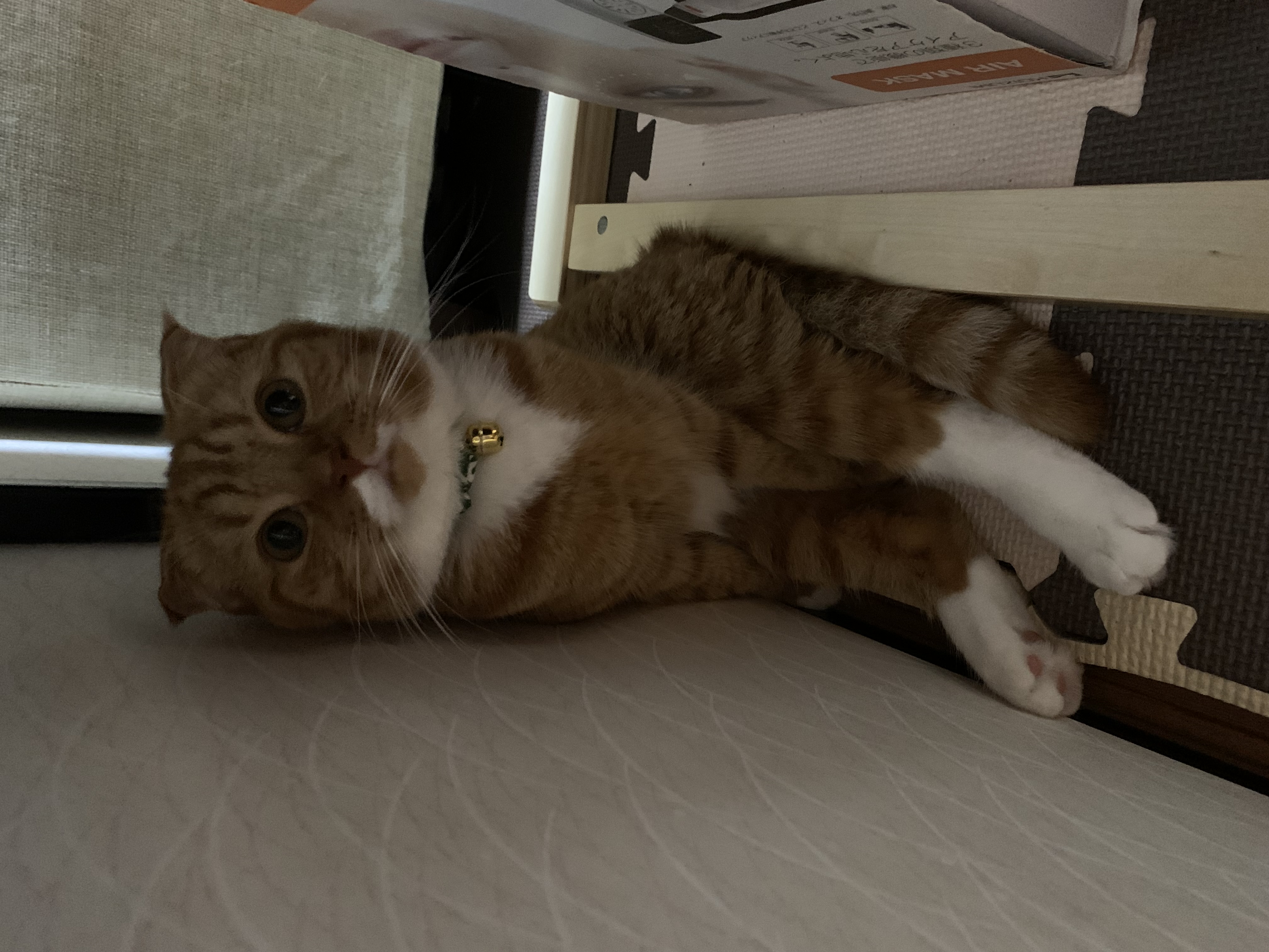 1783783116-IMG_0248.jpeg