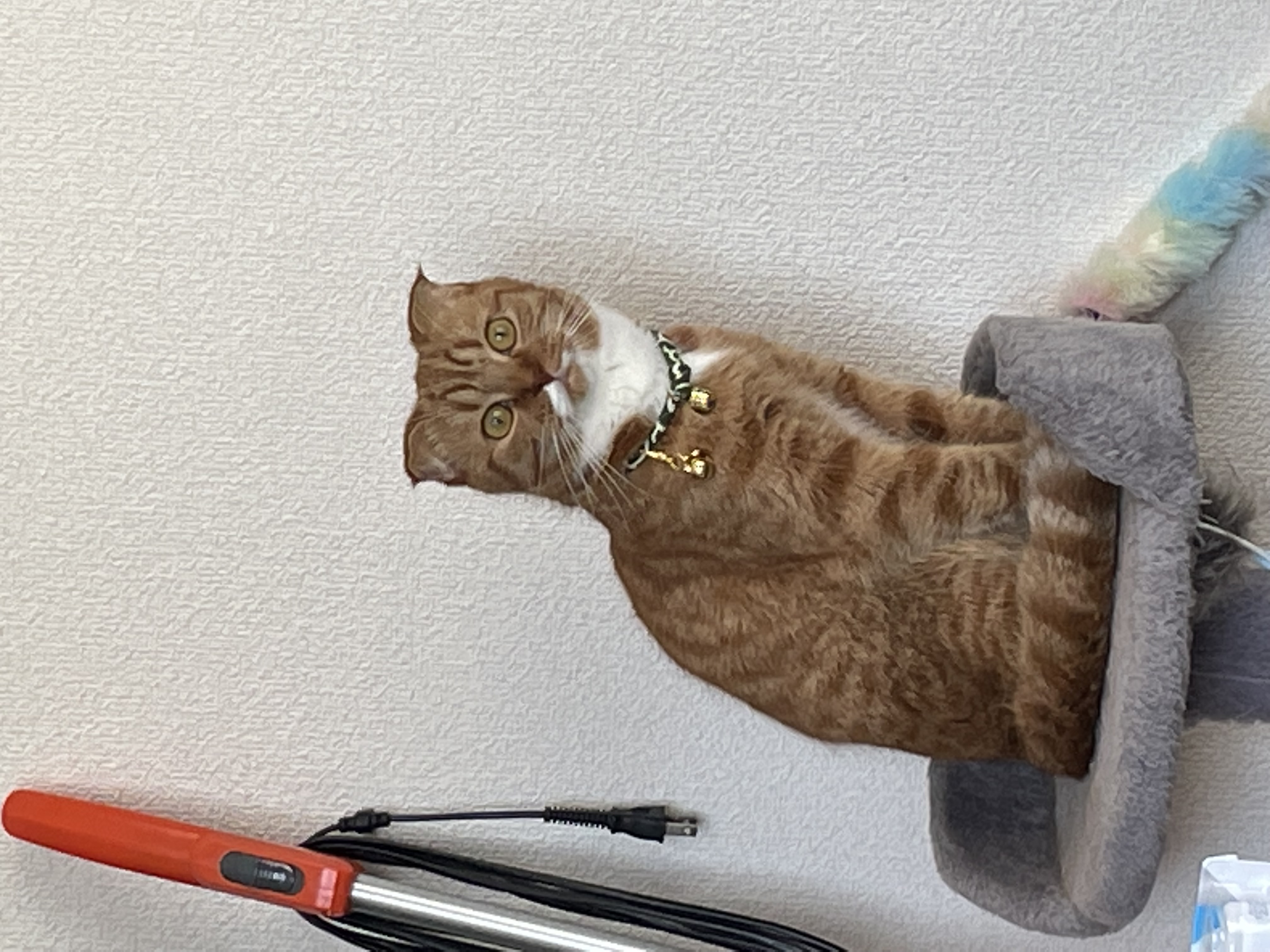 1783783116-IMG_2328.jpeg