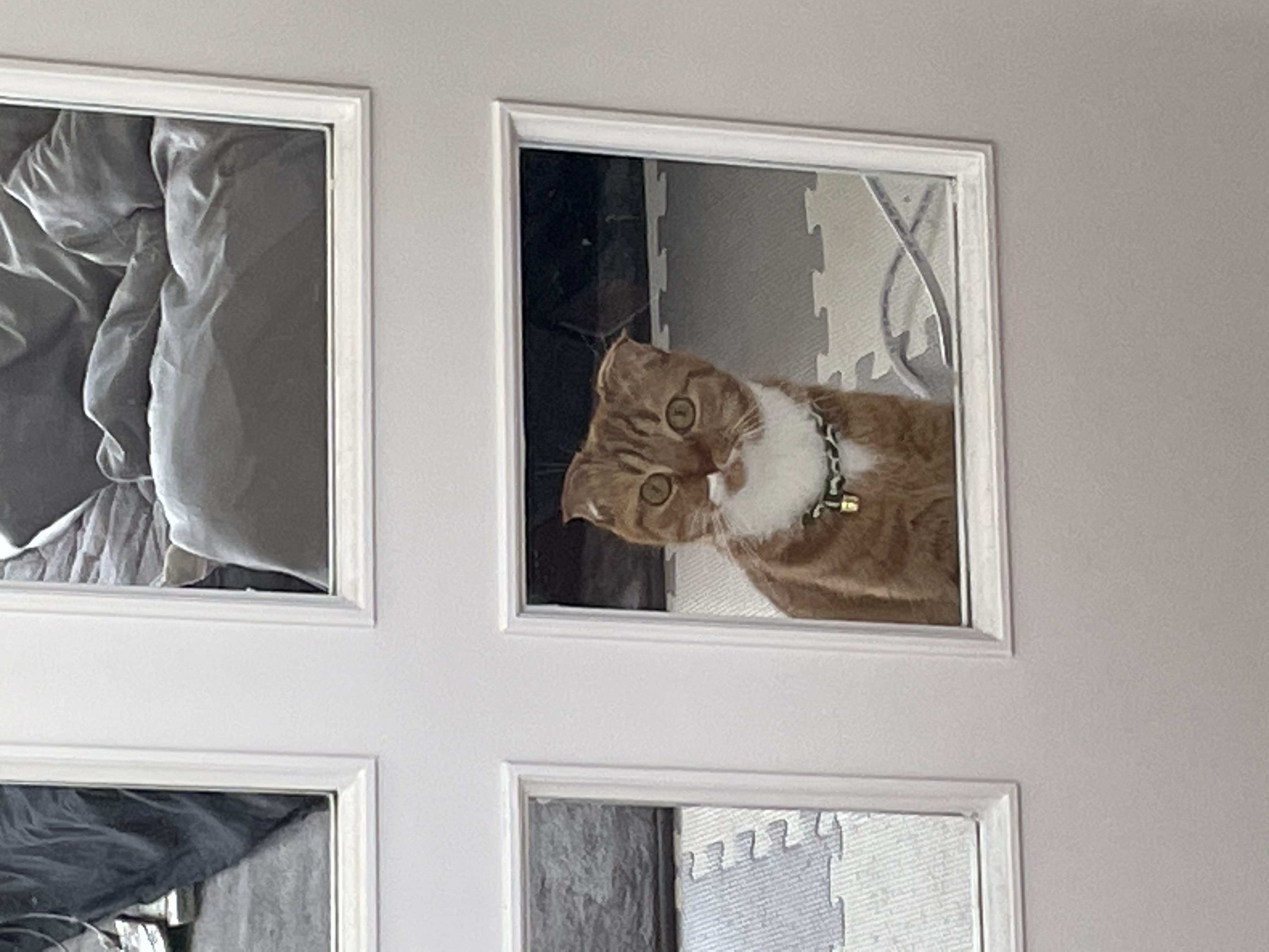 1783783116-IMG_2568.jpeg
