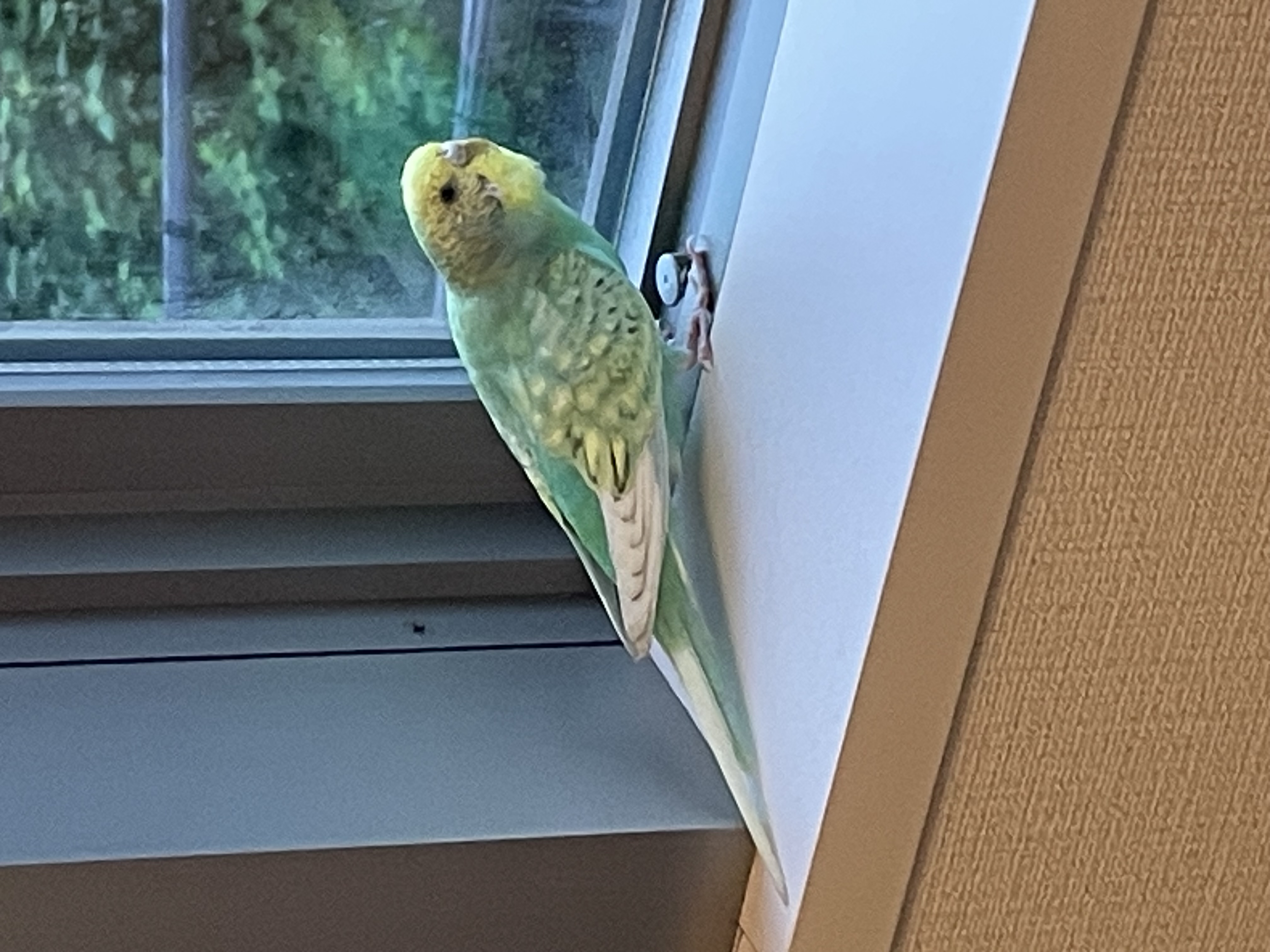 1783902106-IMG_5342.jpeg
