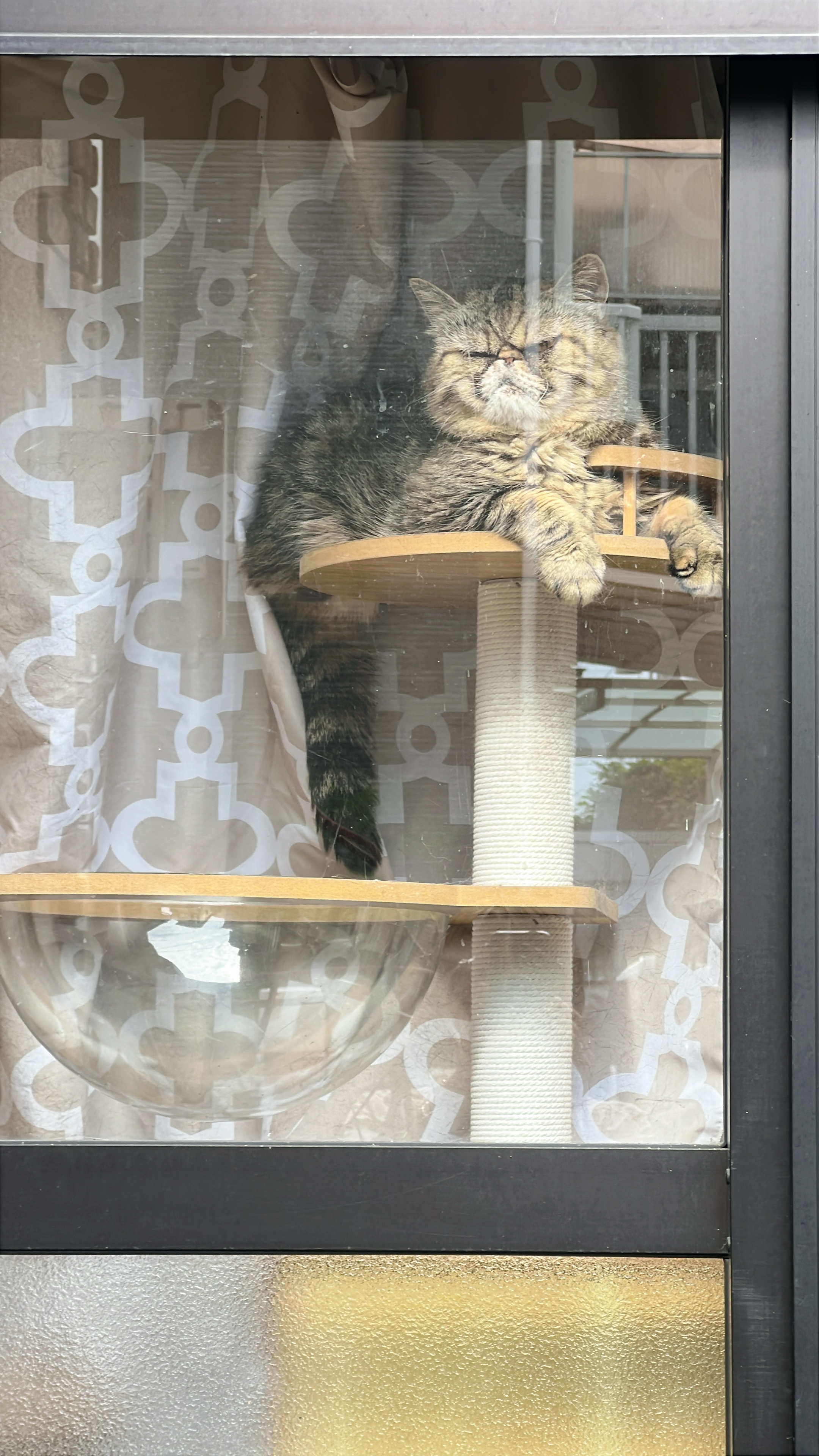 1784391292-IMG_9859.jpeg