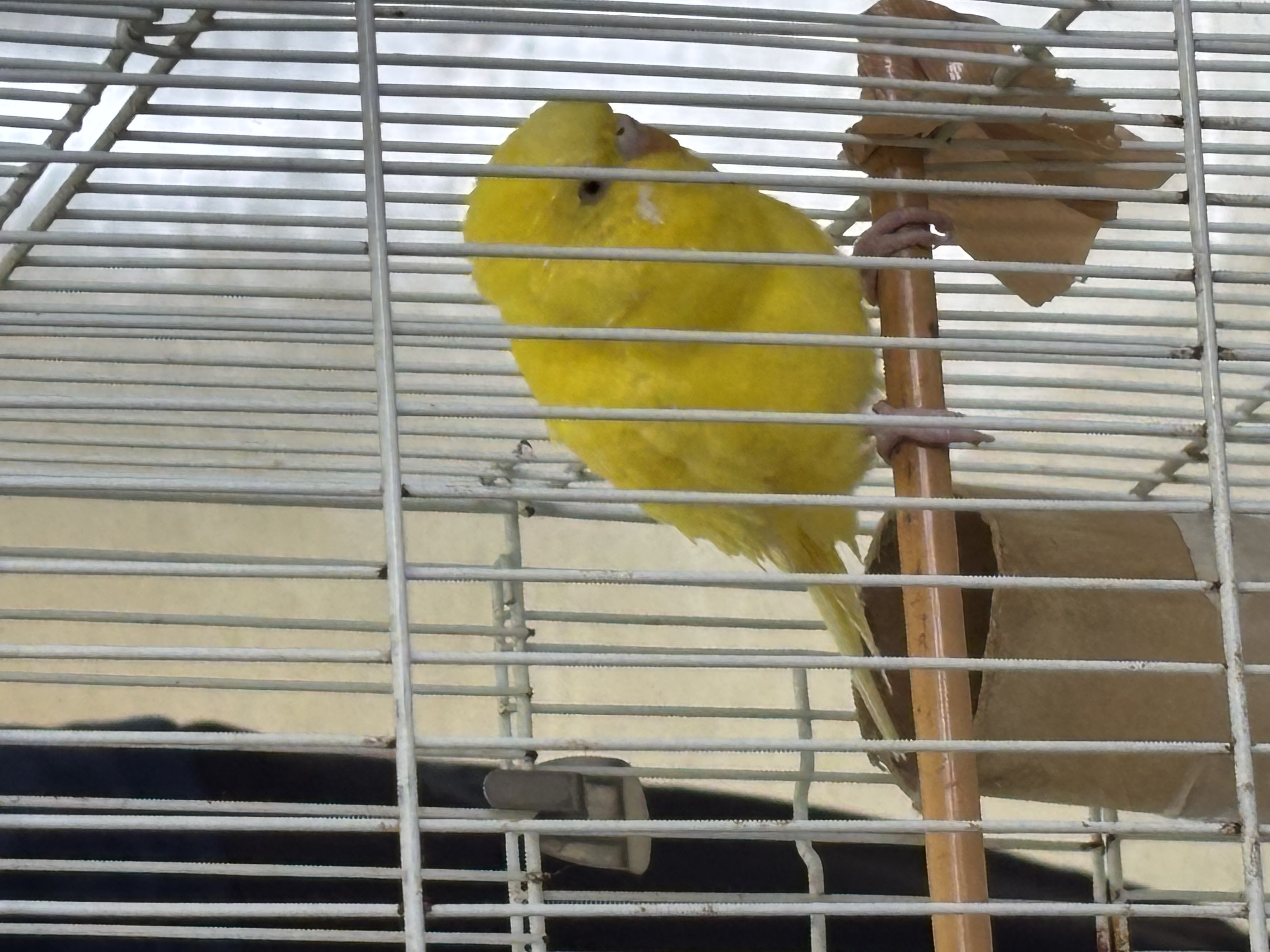 1785745607-IMG_5248.jpeg
