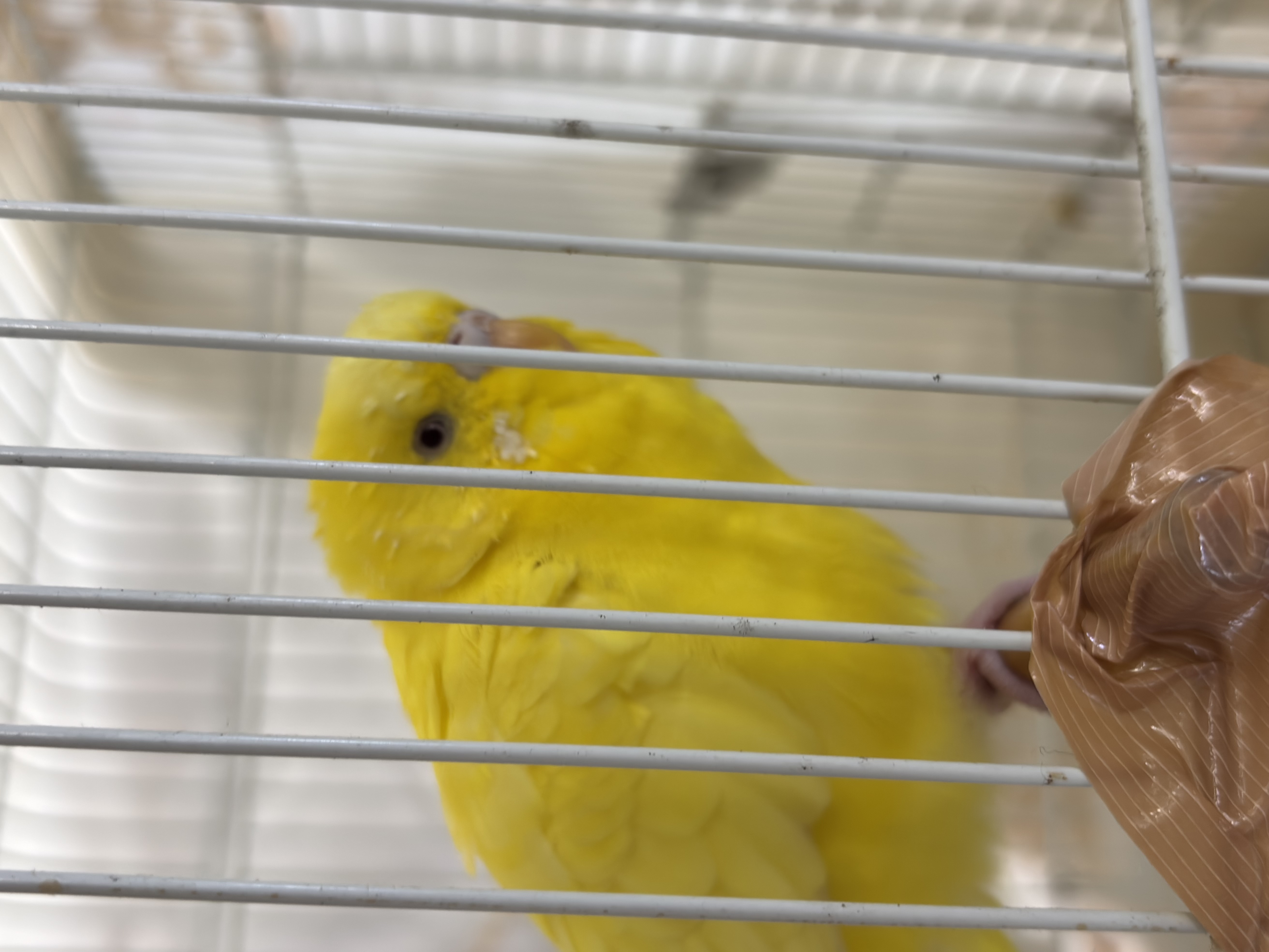 1785745607-IMG_5256.jpeg