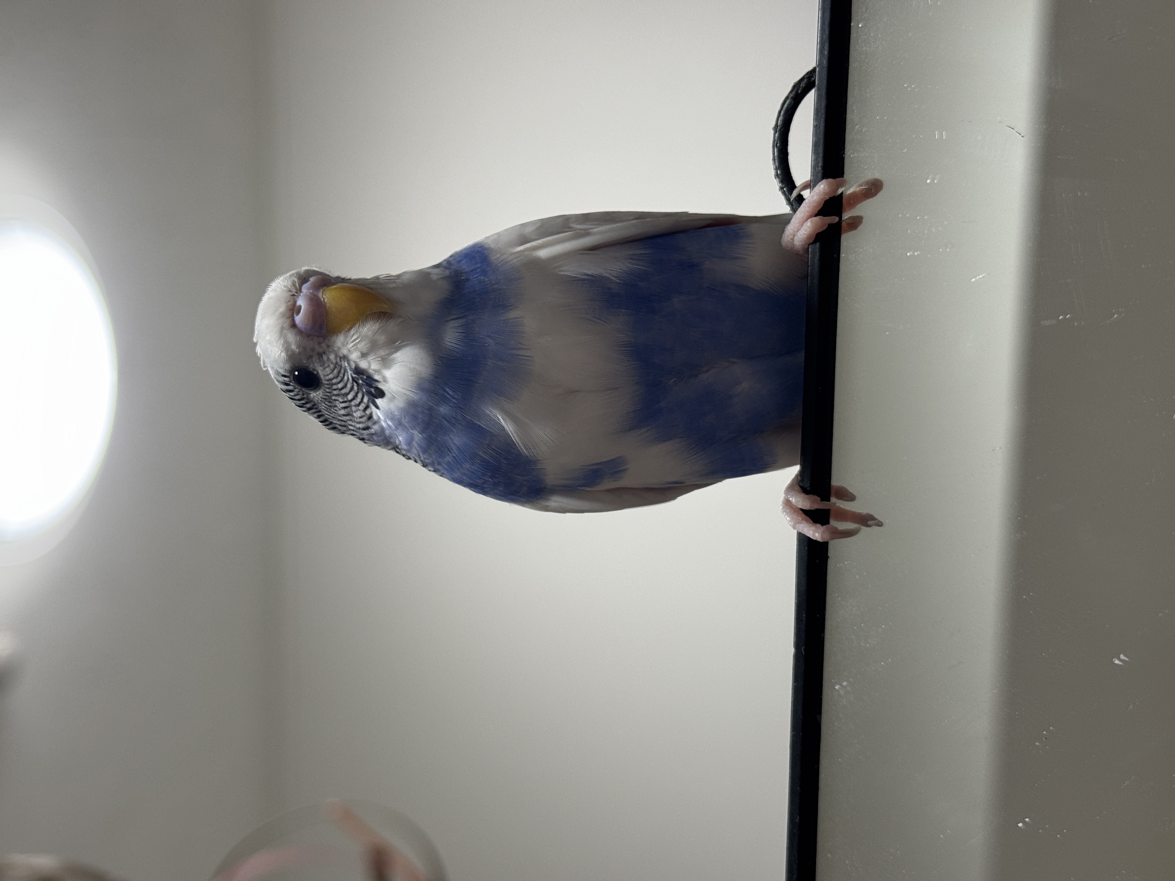1786015868-IMG_1546.jpeg
