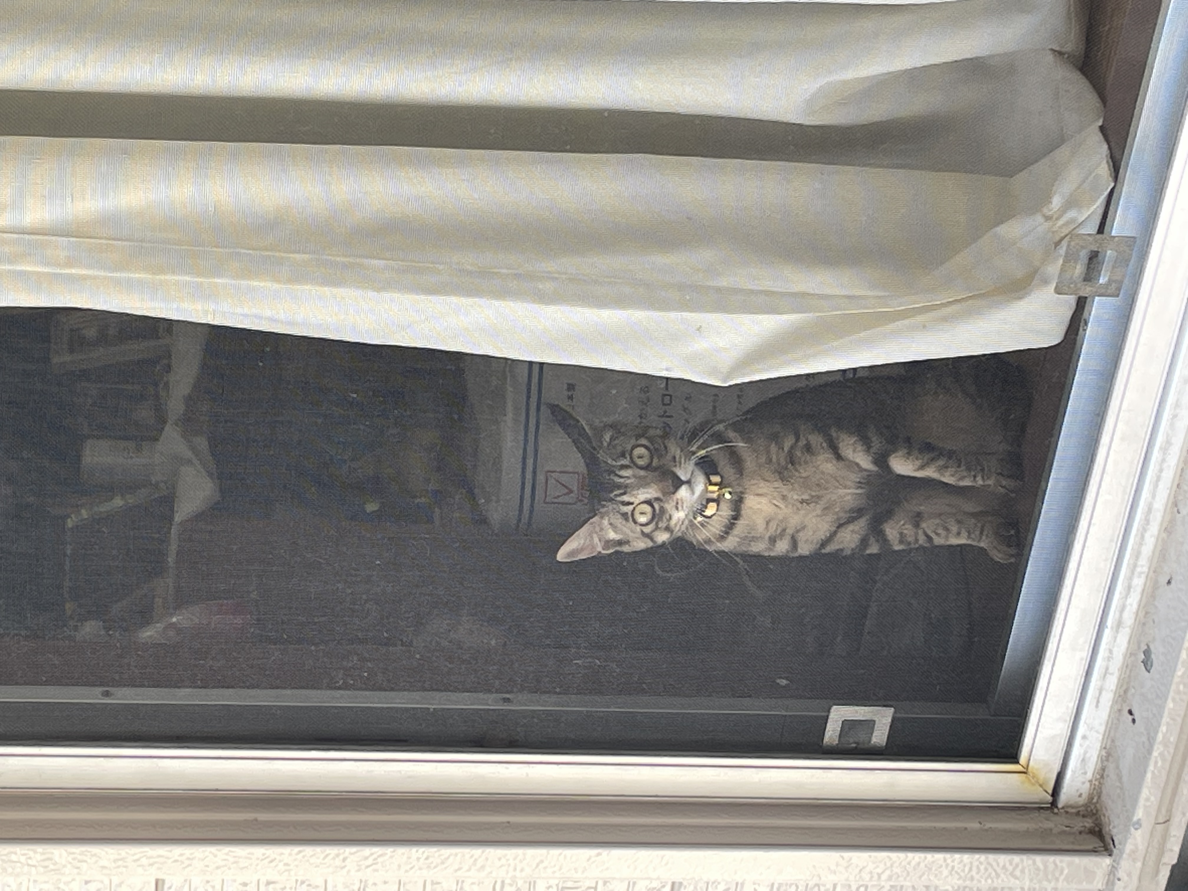 1786795546-IMG_2137.jpeg