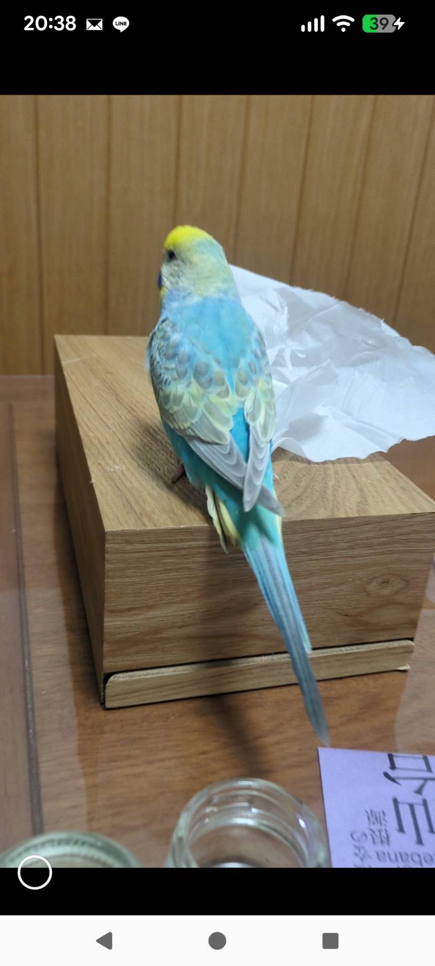 1787349530-IMG_6500.jpeg