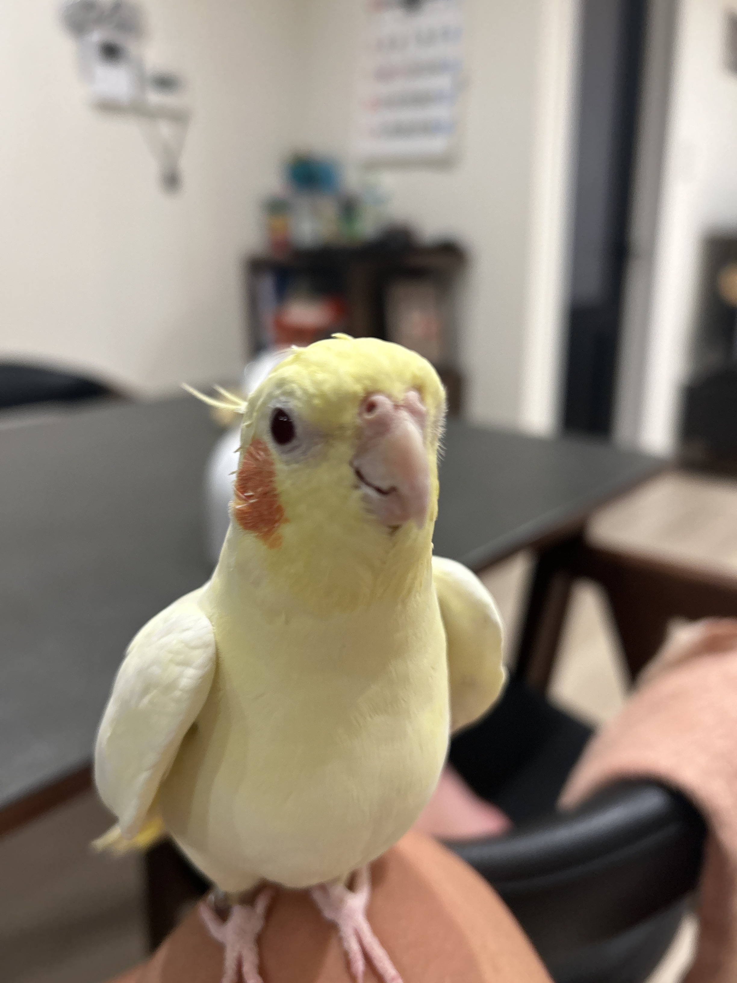 1787454902-IMG_2763.jpeg