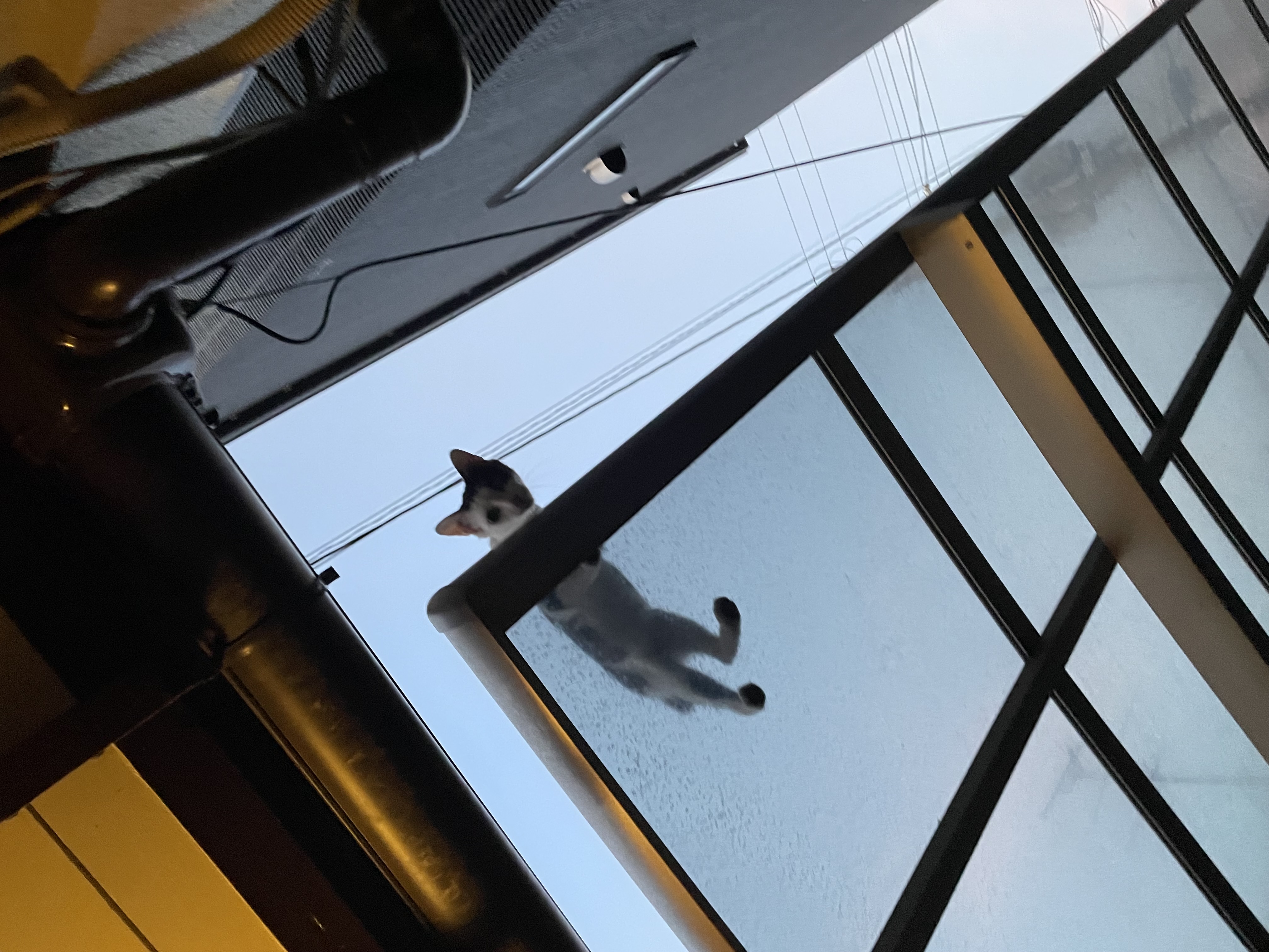 1787461177-IMG_2072.jpeg