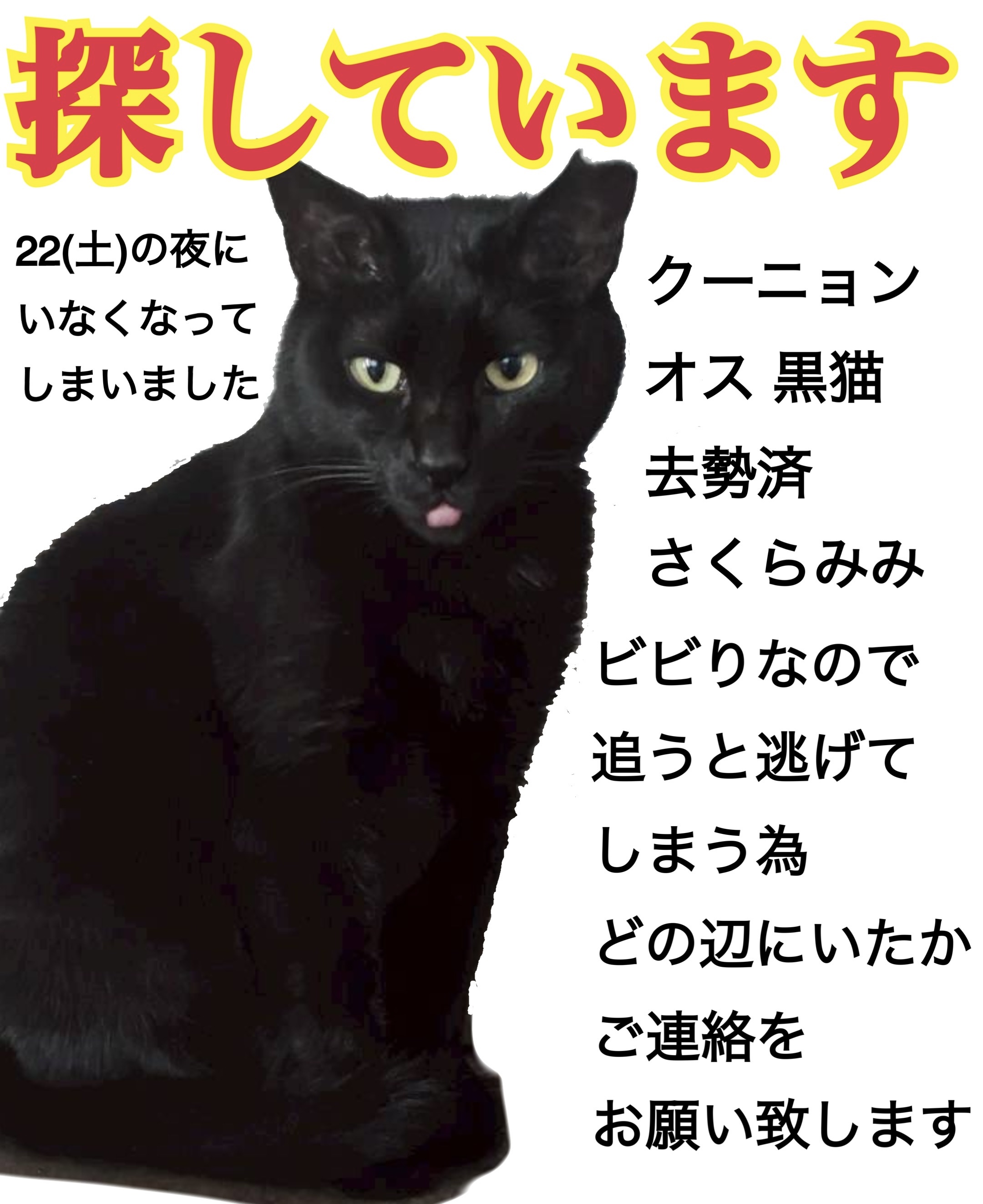1787736260-IMG_5764.jpeg