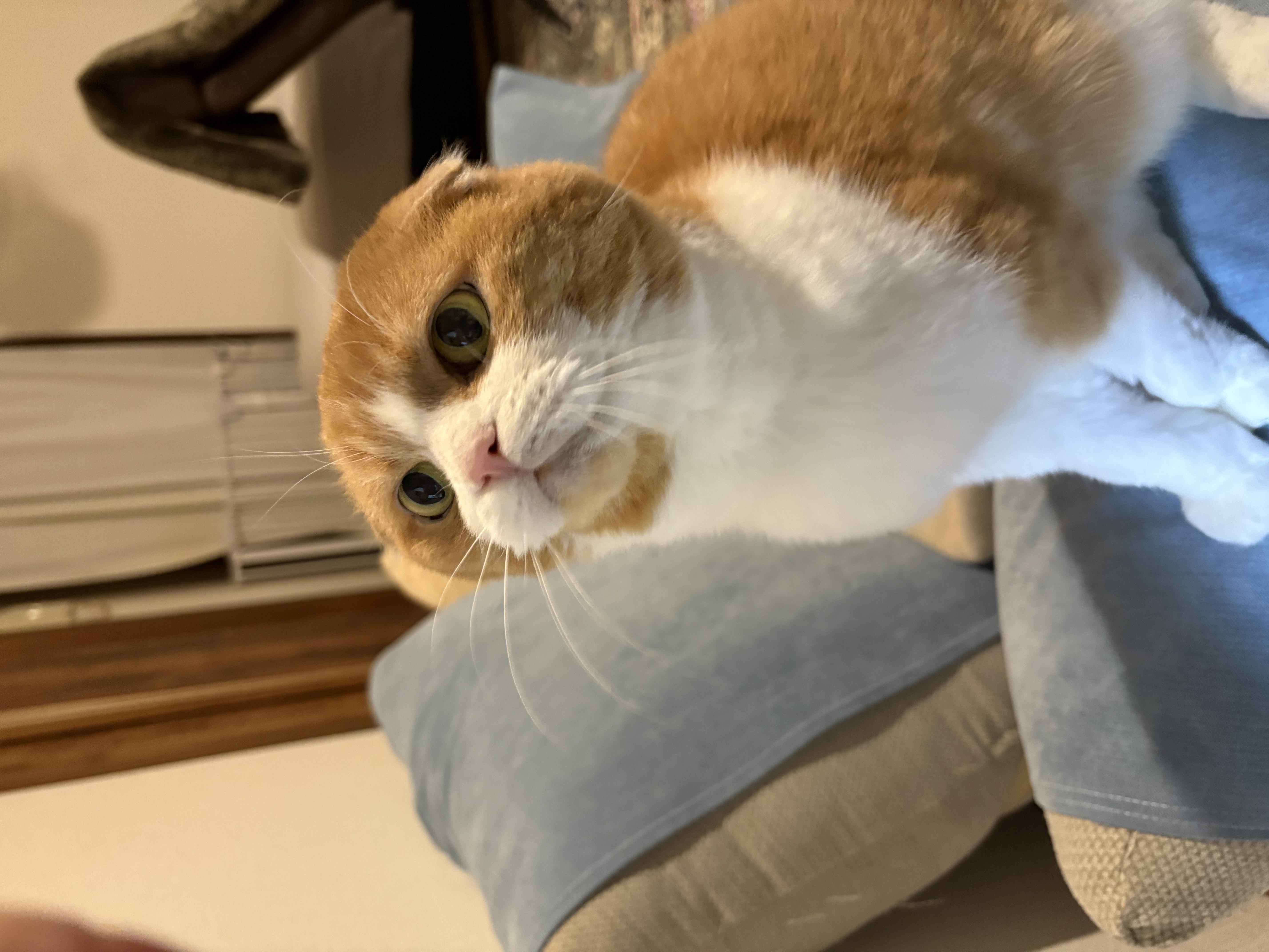 1787799084-IMG_1705.jpeg