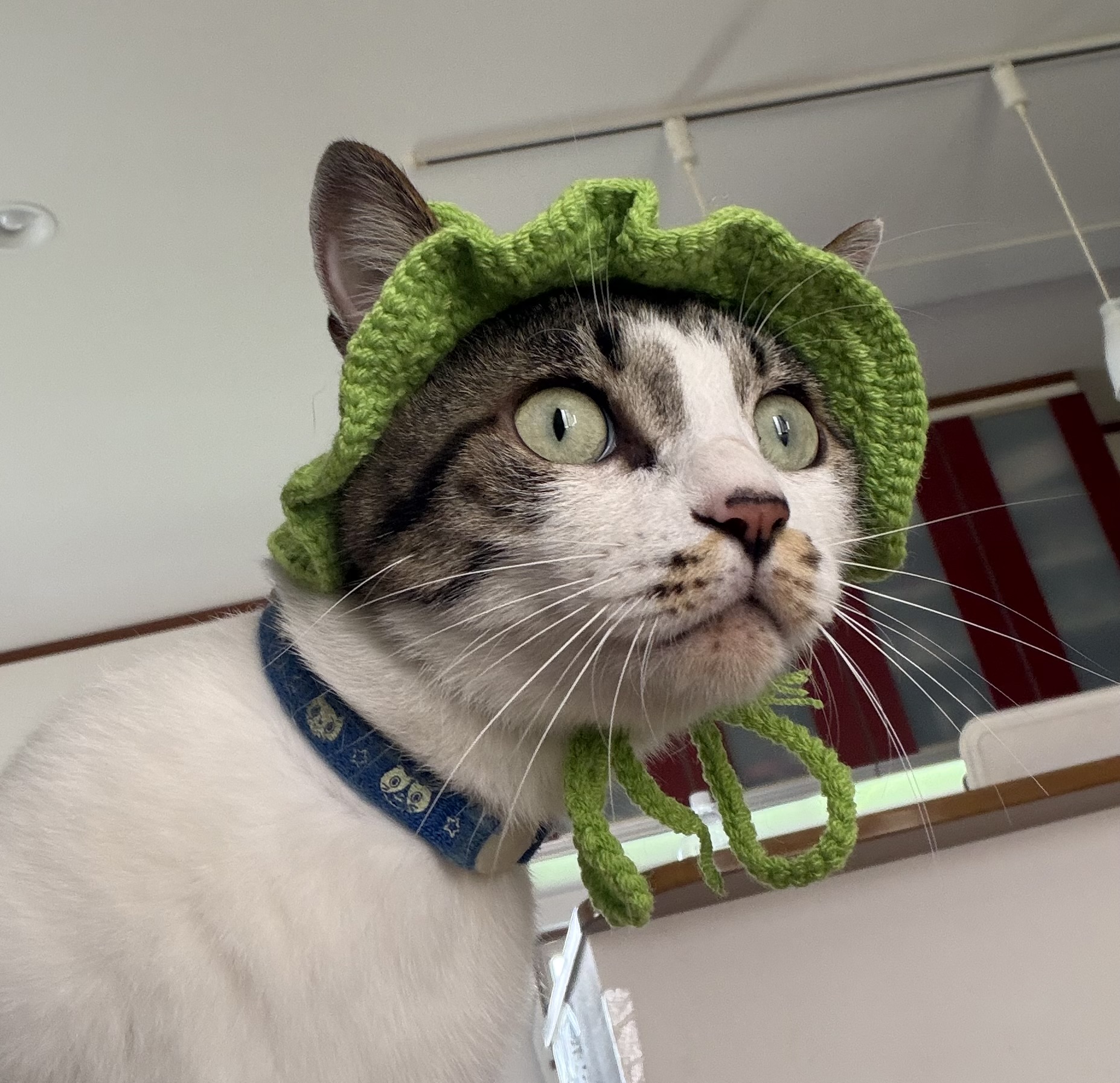 1788271765-IMG_3900.jpeg
