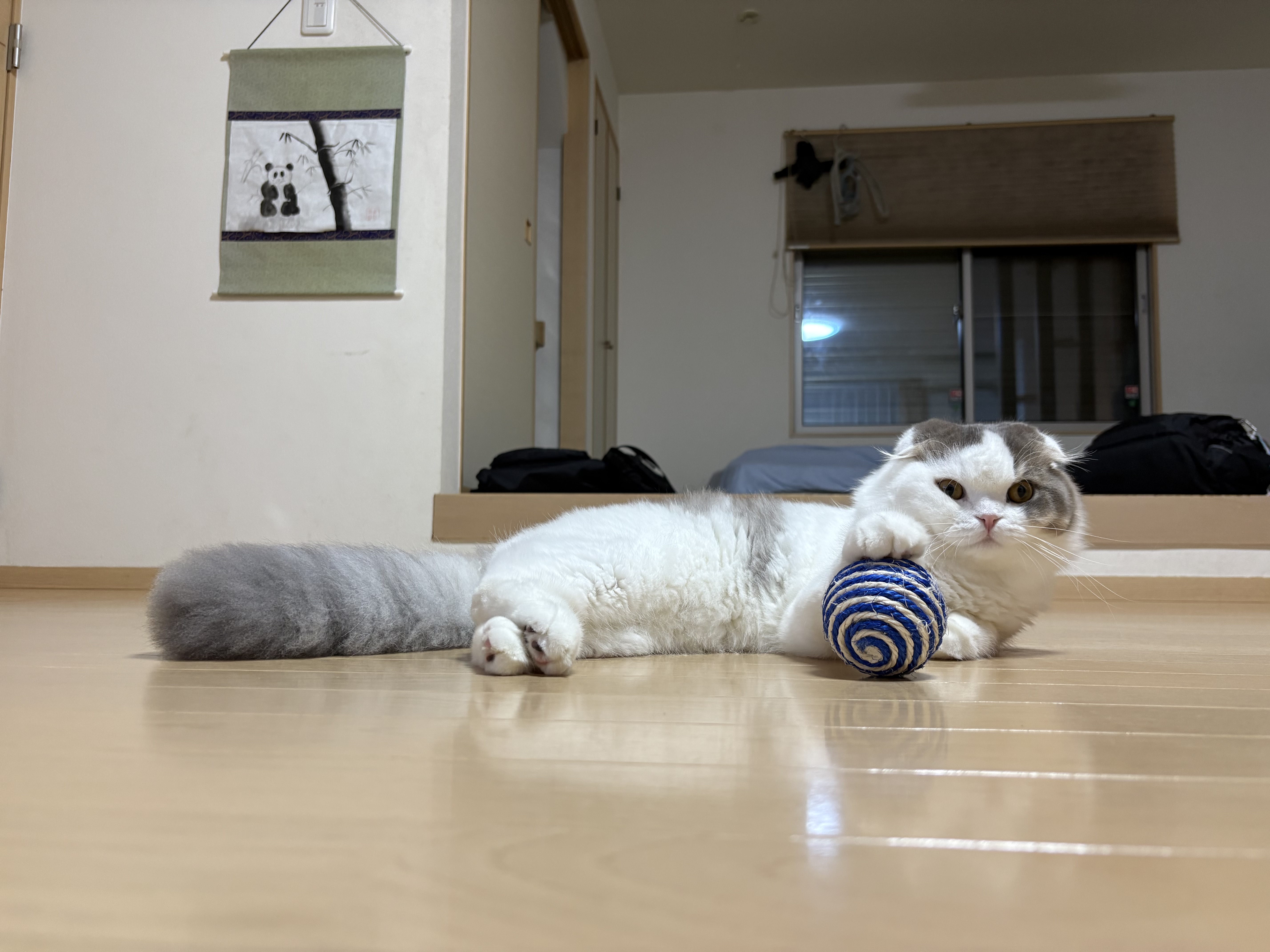 1788564020-IMG_7261.jpeg