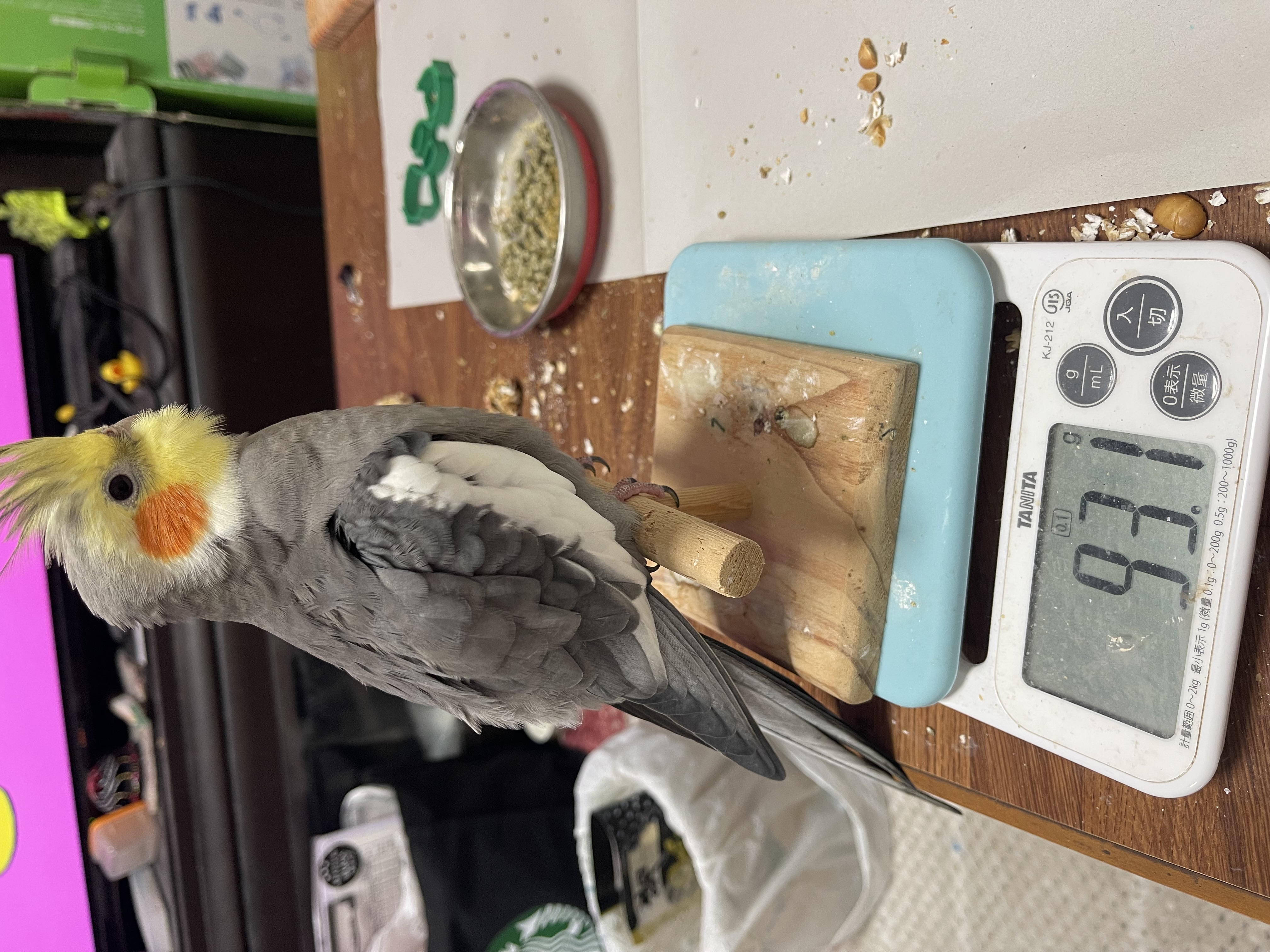 1788907232-IMG_1415.jpeg