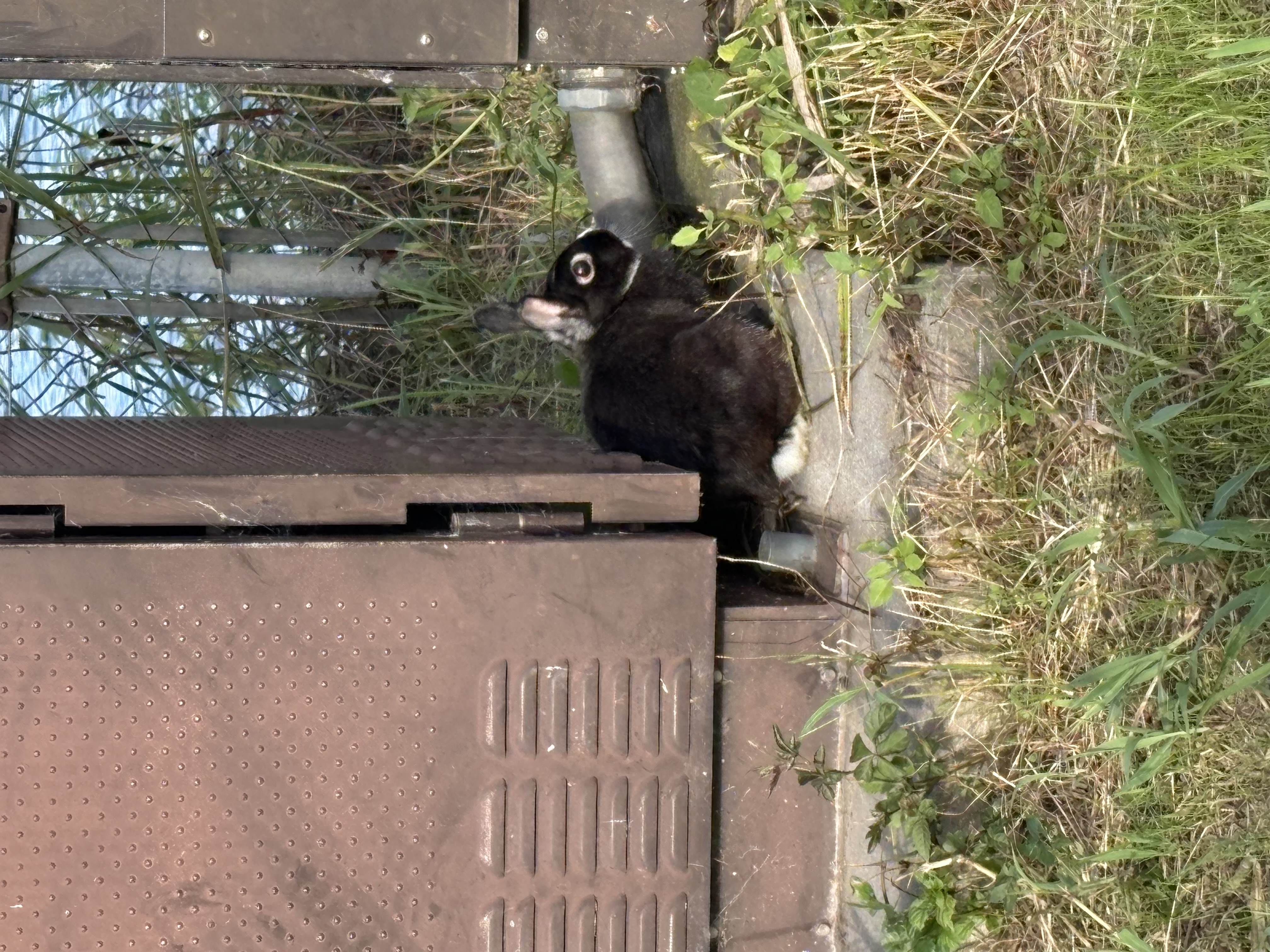 1789387459-IMG_7944.jpeg