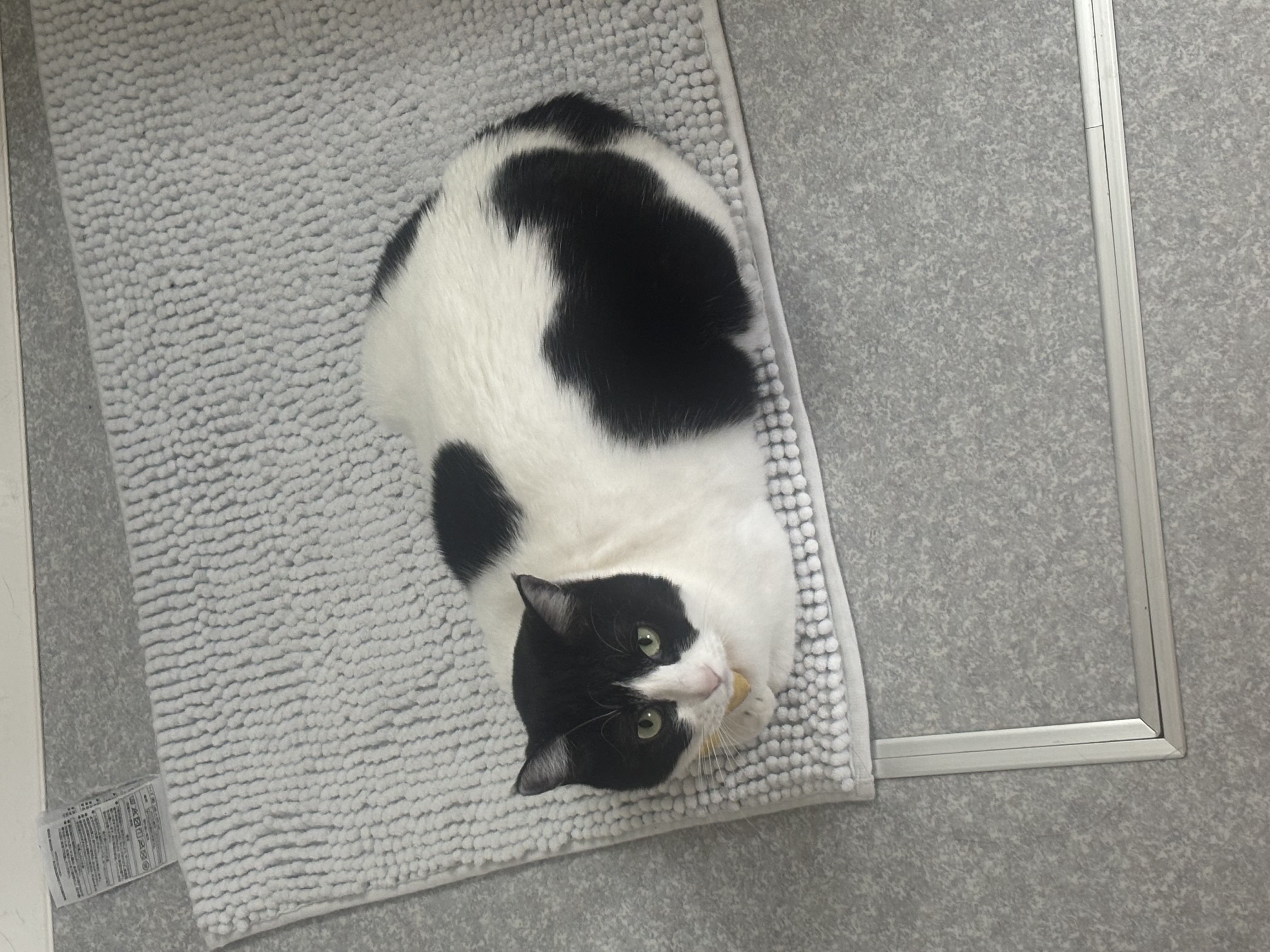 1789651968-IMG_0246.jpeg