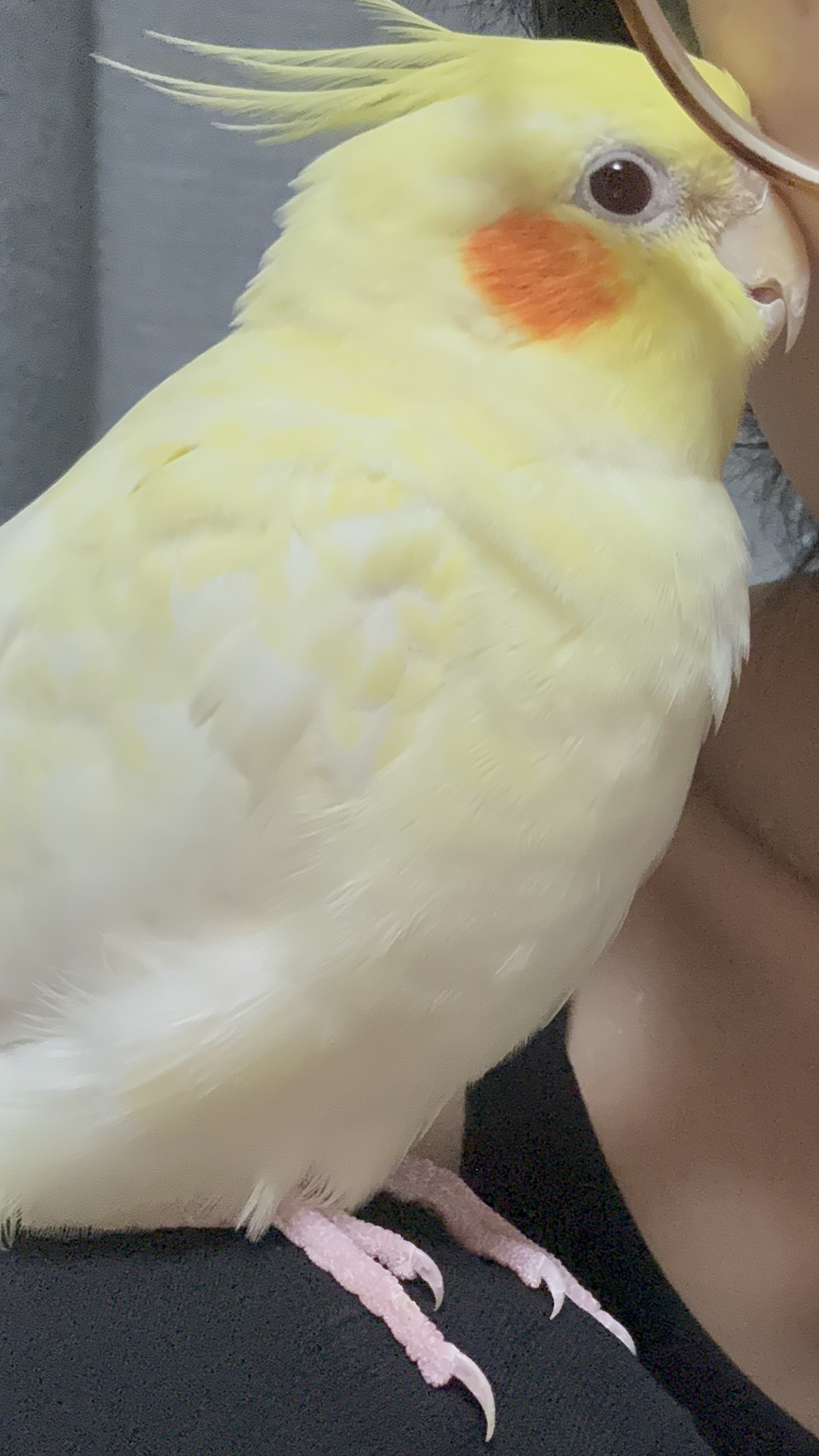 1789677789-IMG_5103.jpeg