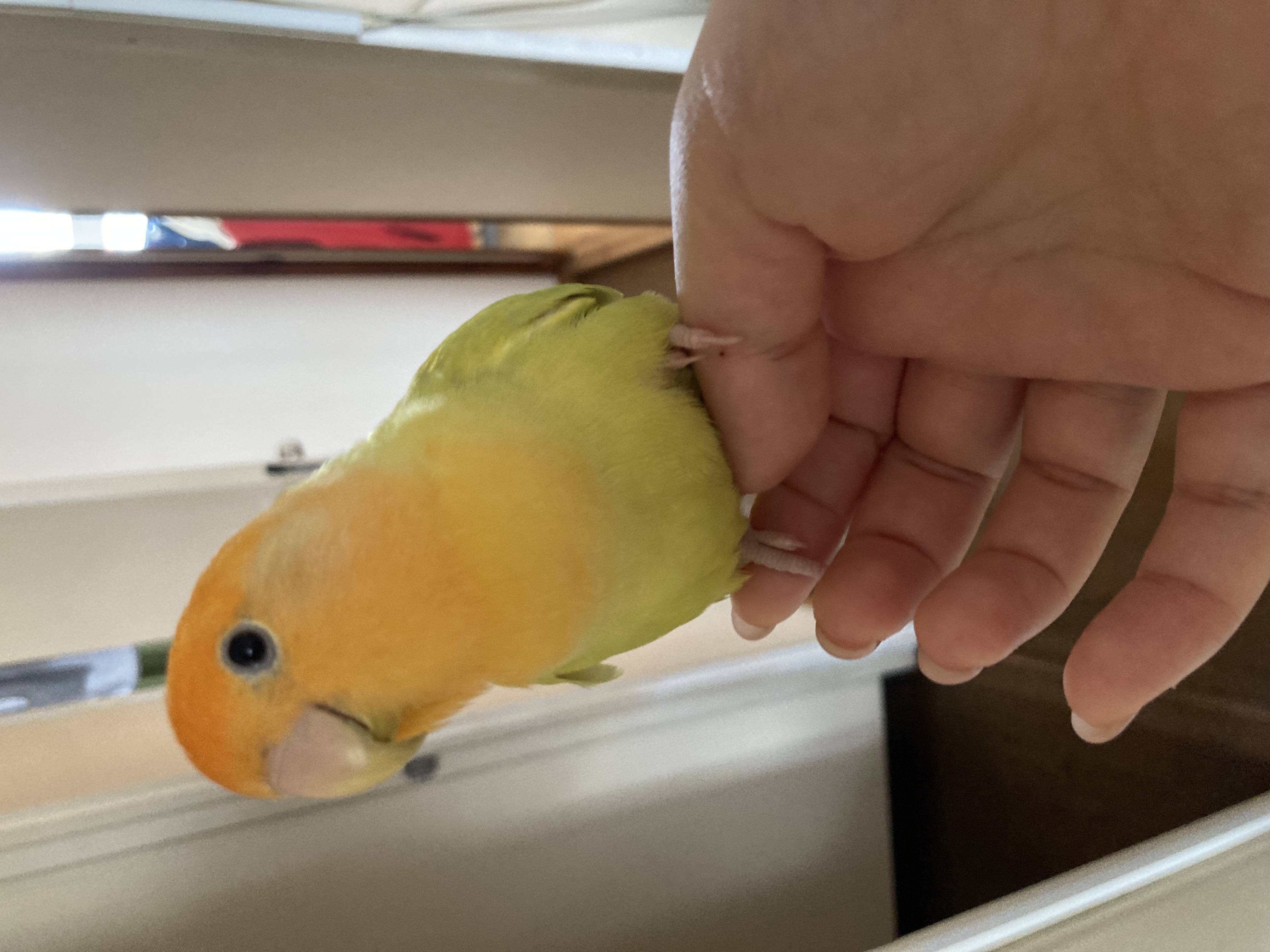 1789727219-IMG_2745.jpeg