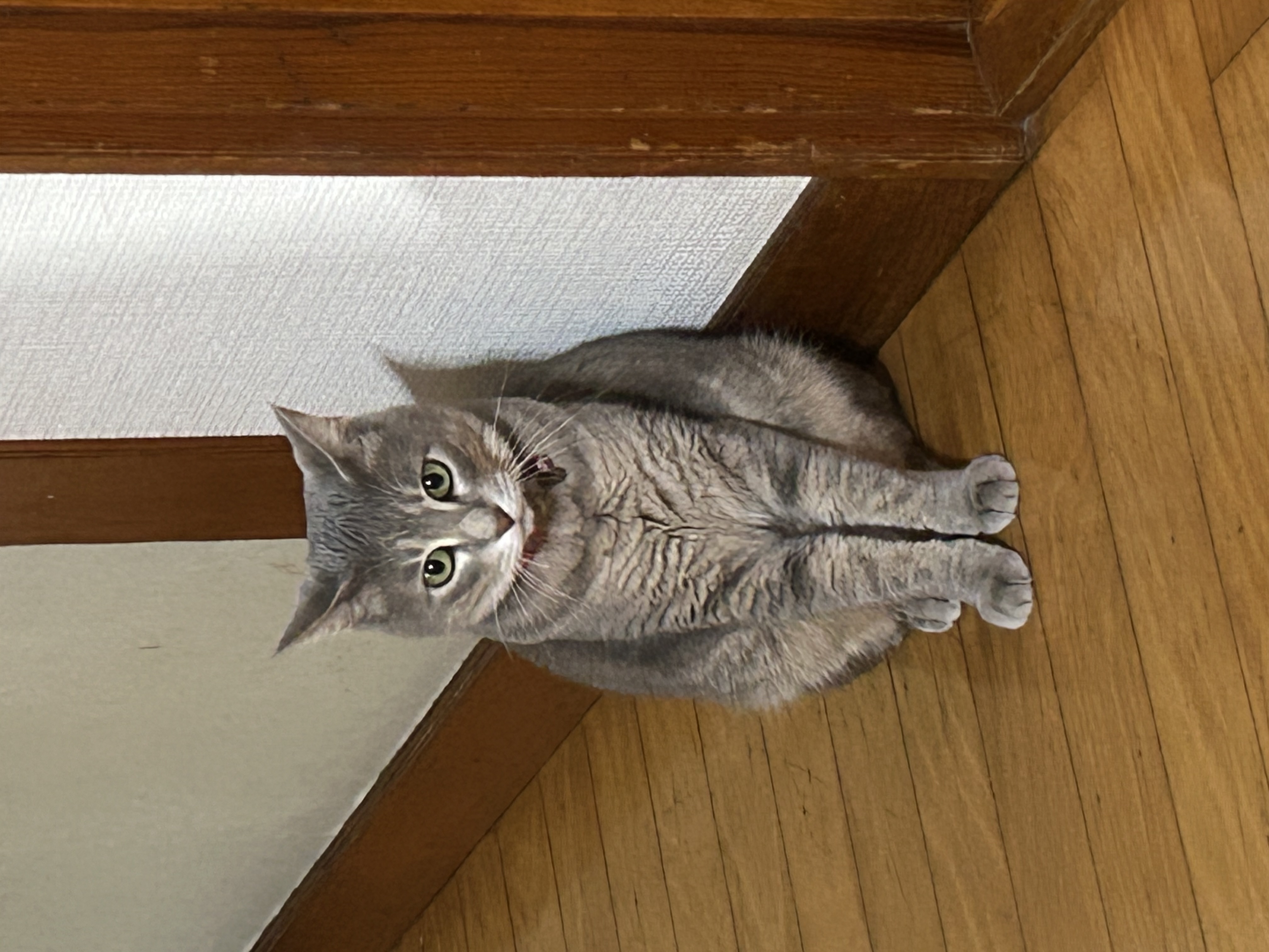 1789801535-IMG_5008.jpeg