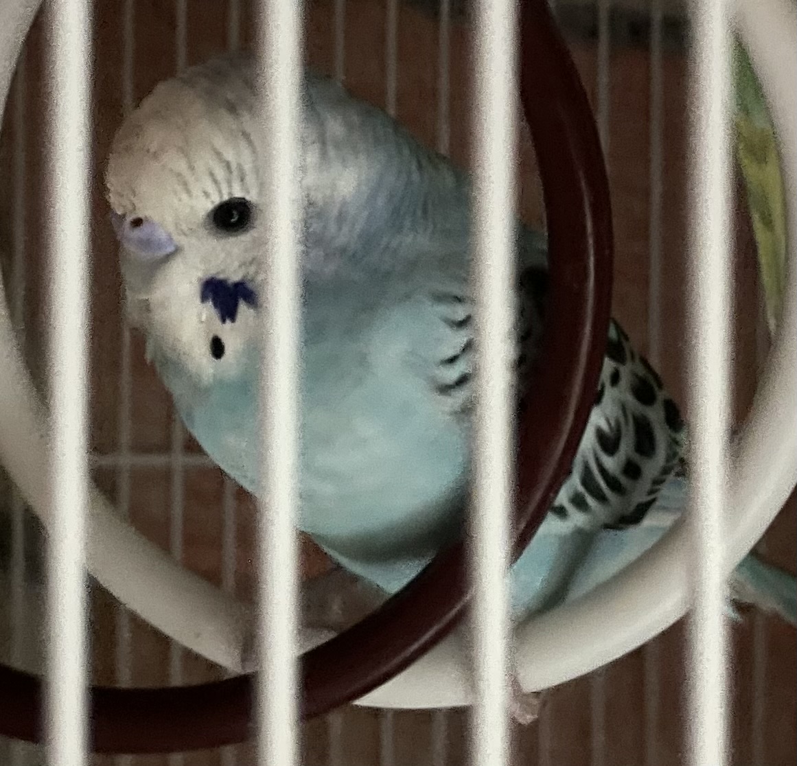 1789879900-IMG_7020.jpeg
