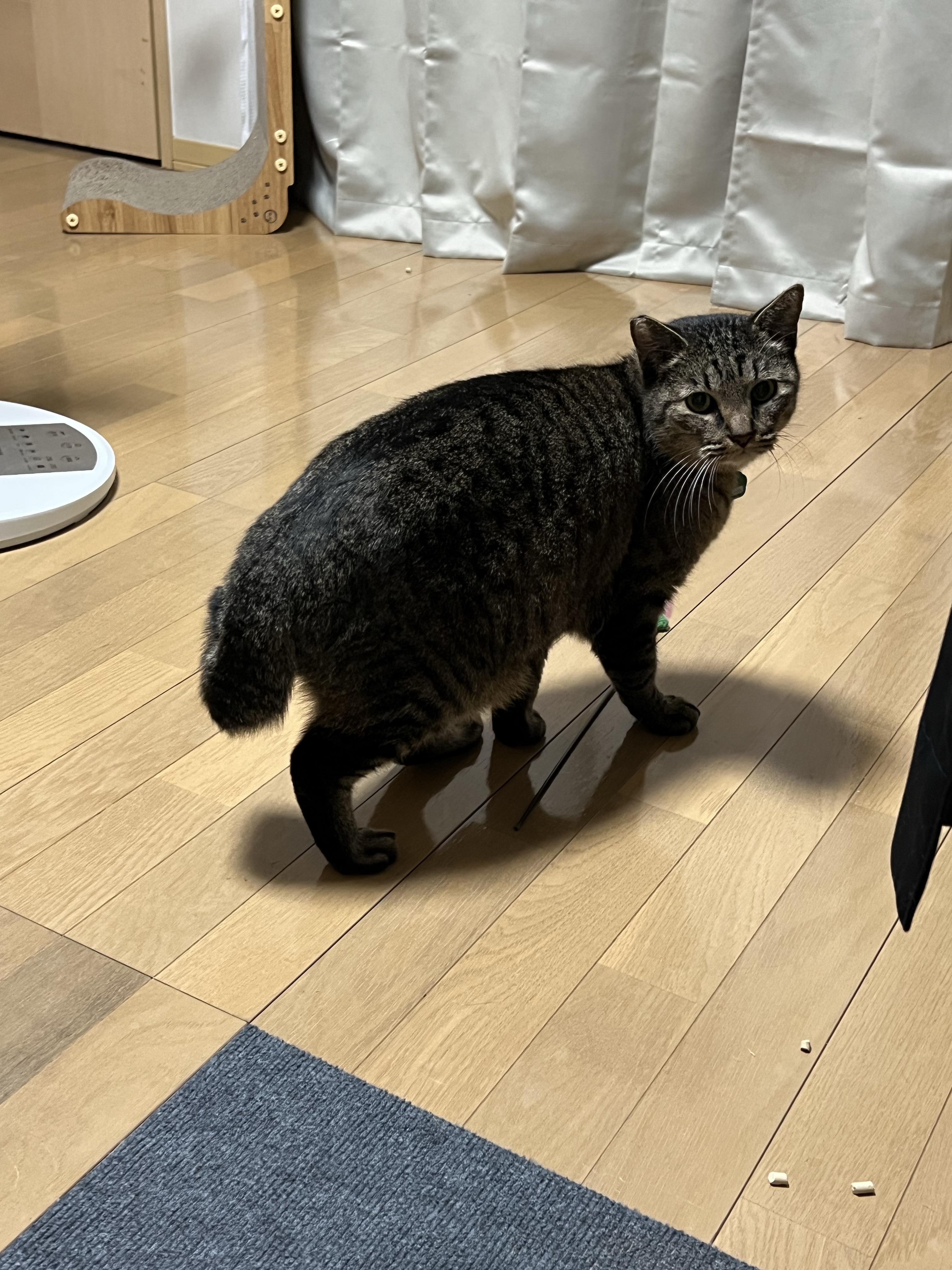 1789948826-IMG_1133_Original.jpeg