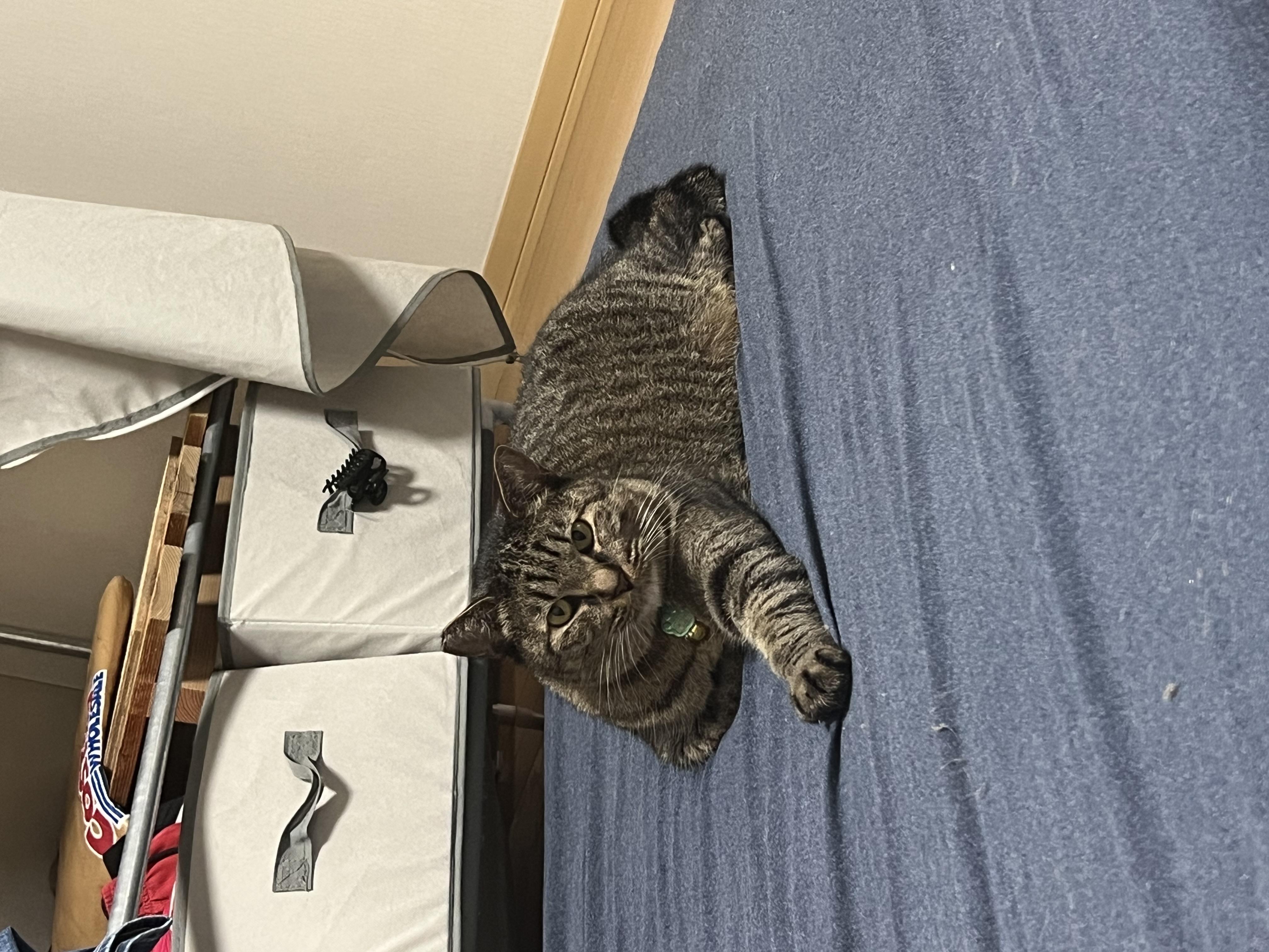 1789948826-IMG_2198.jpeg