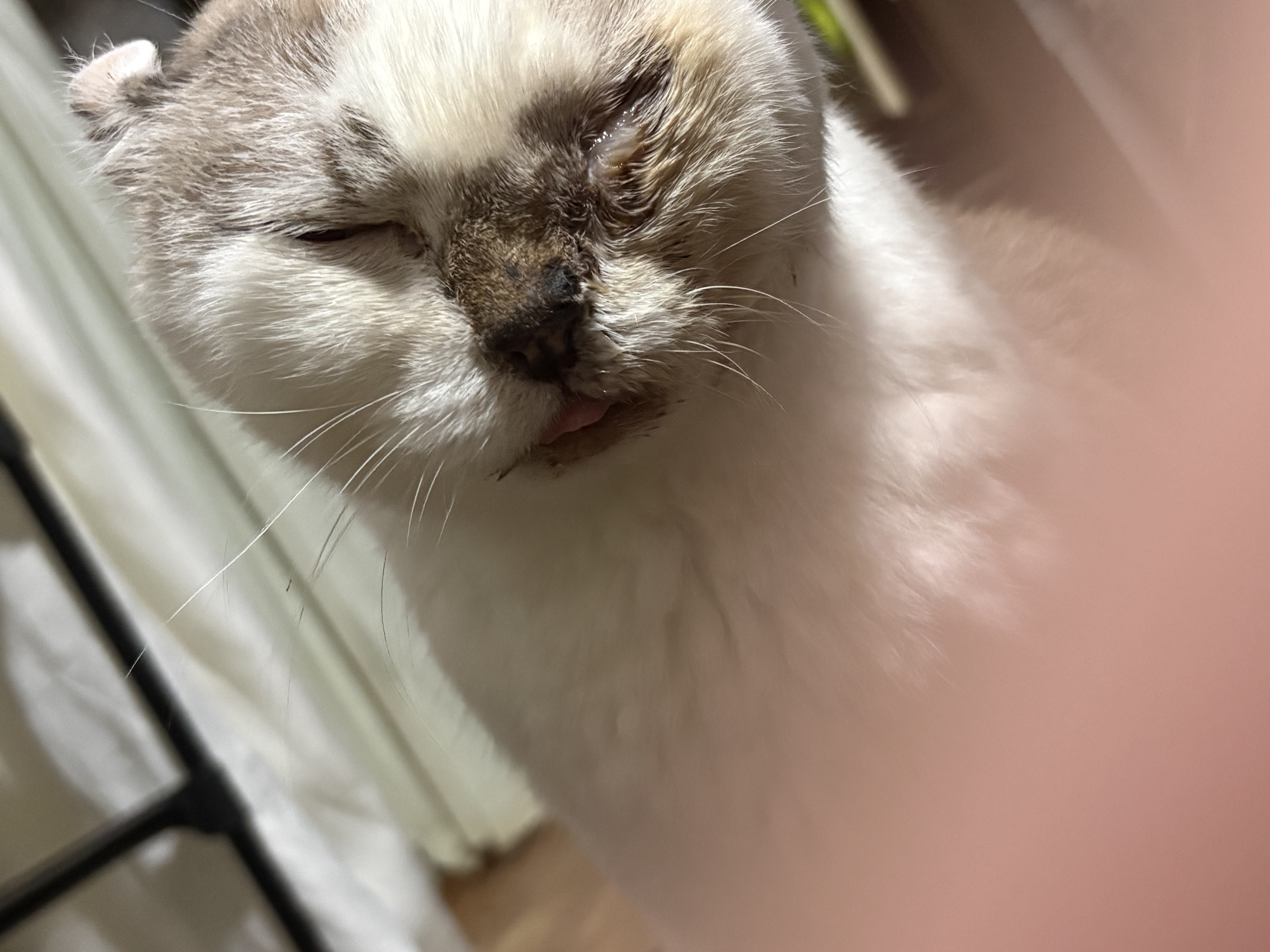 1789979185-IMG_6774.jpeg