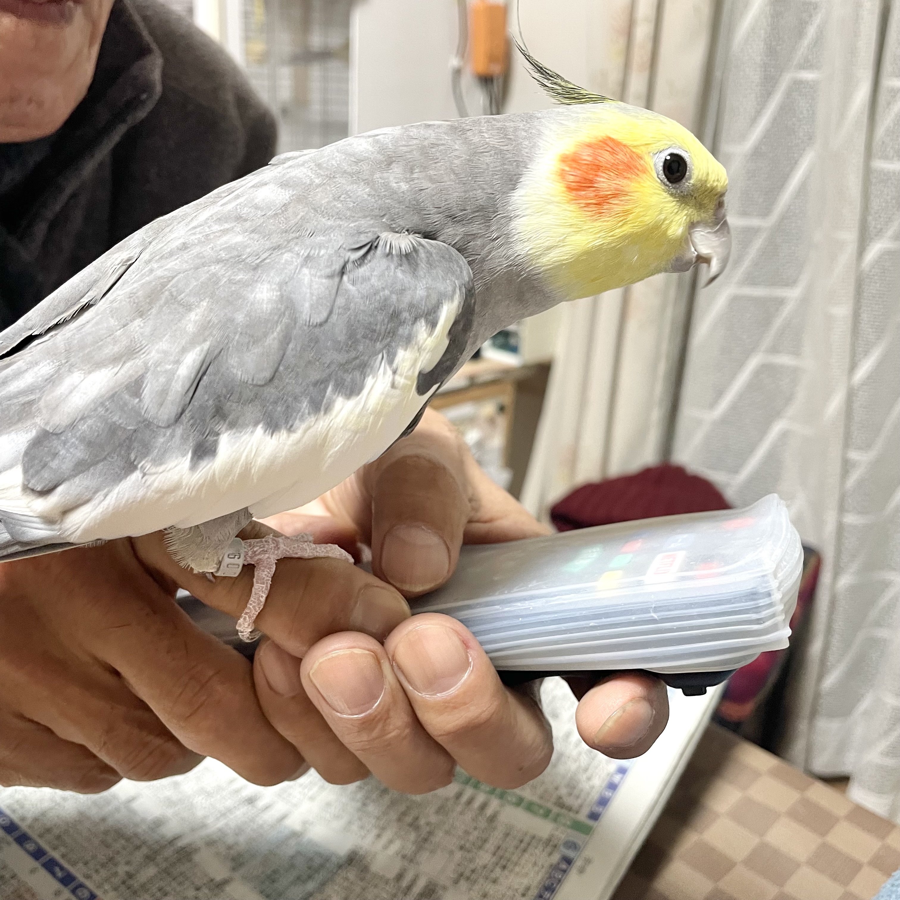 1790313690-IMG_7306.jpeg