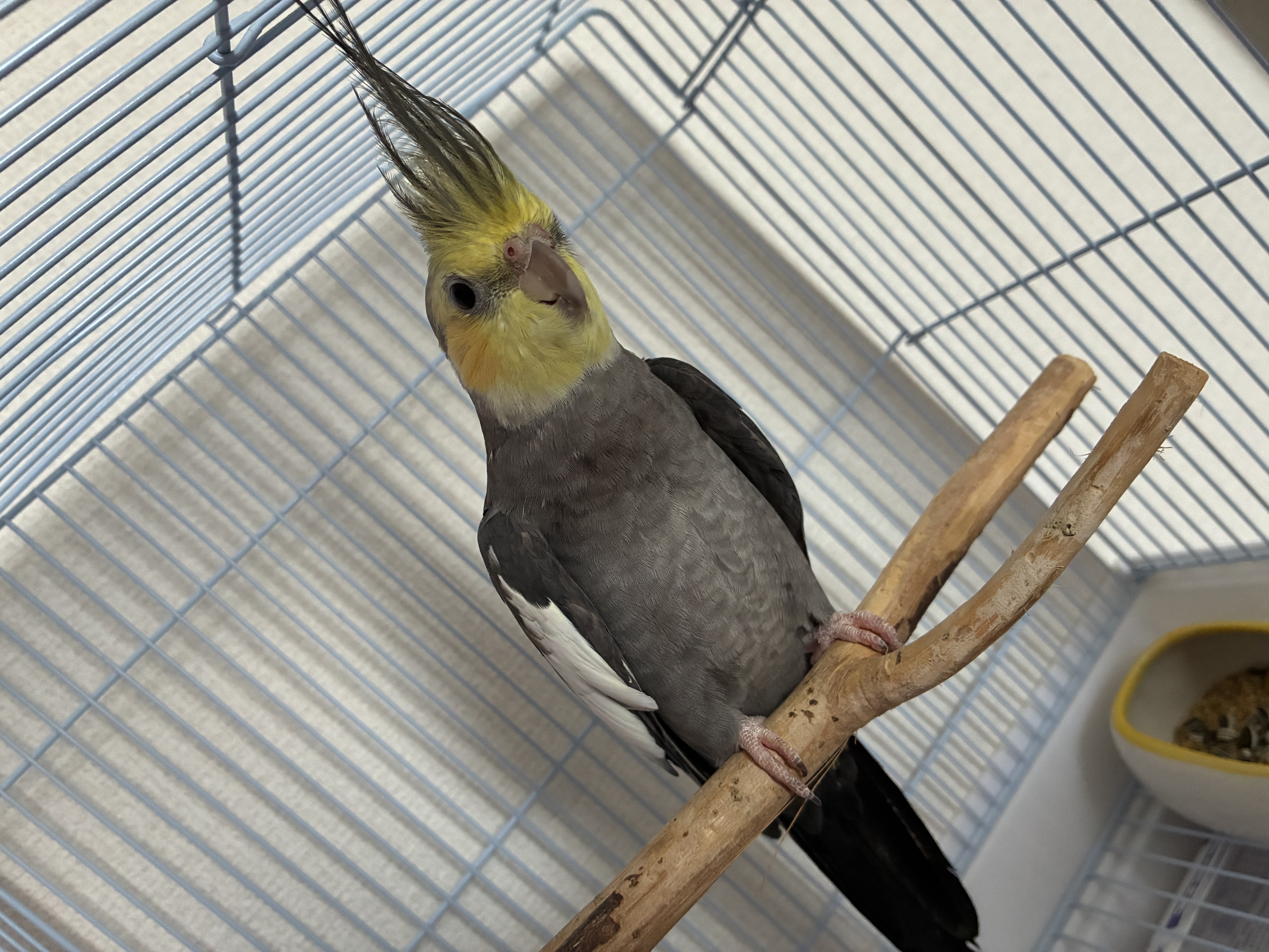 1790337861-IMG_2996.jpeg
