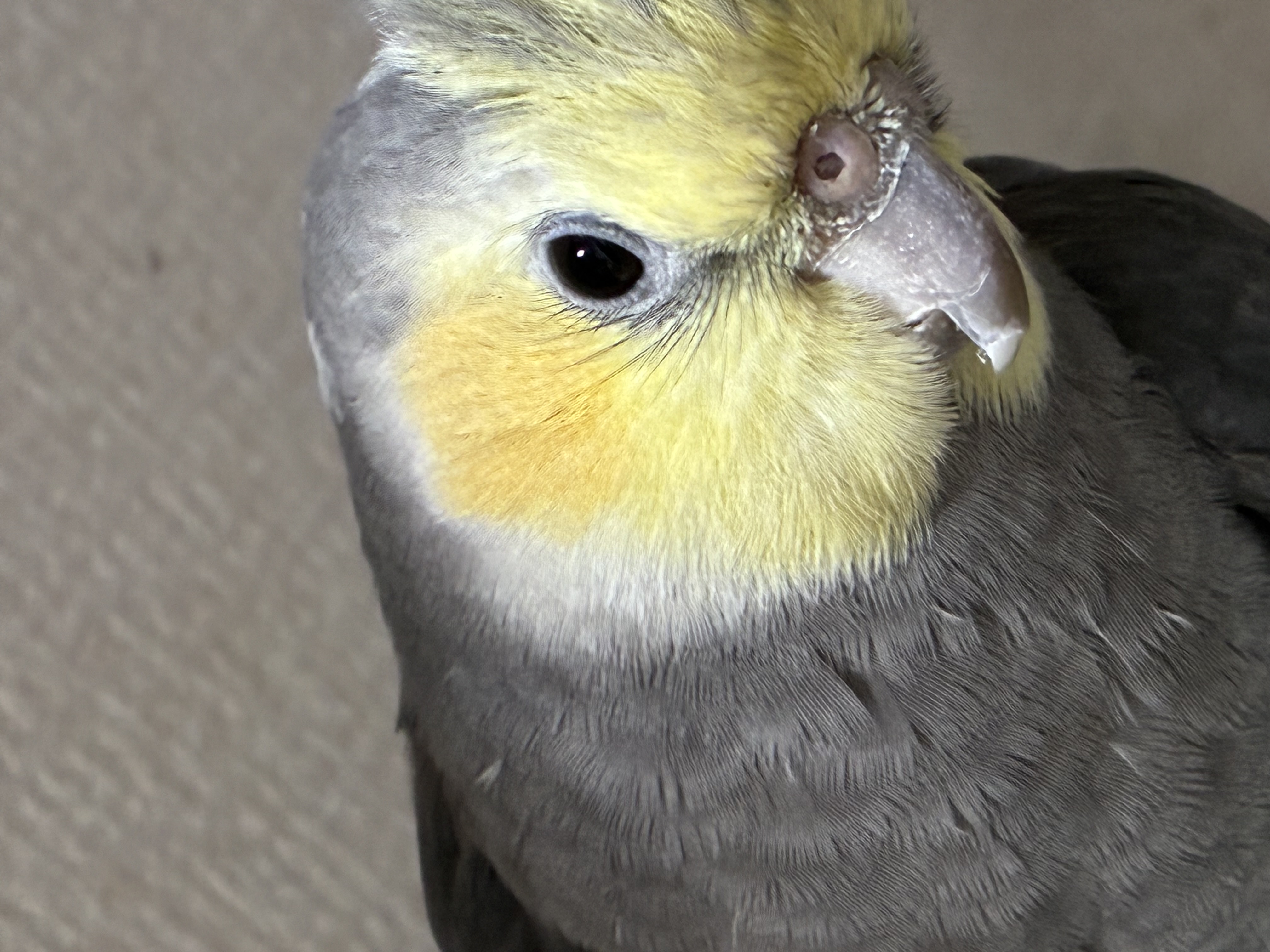 1790337861-IMG_3365.jpeg