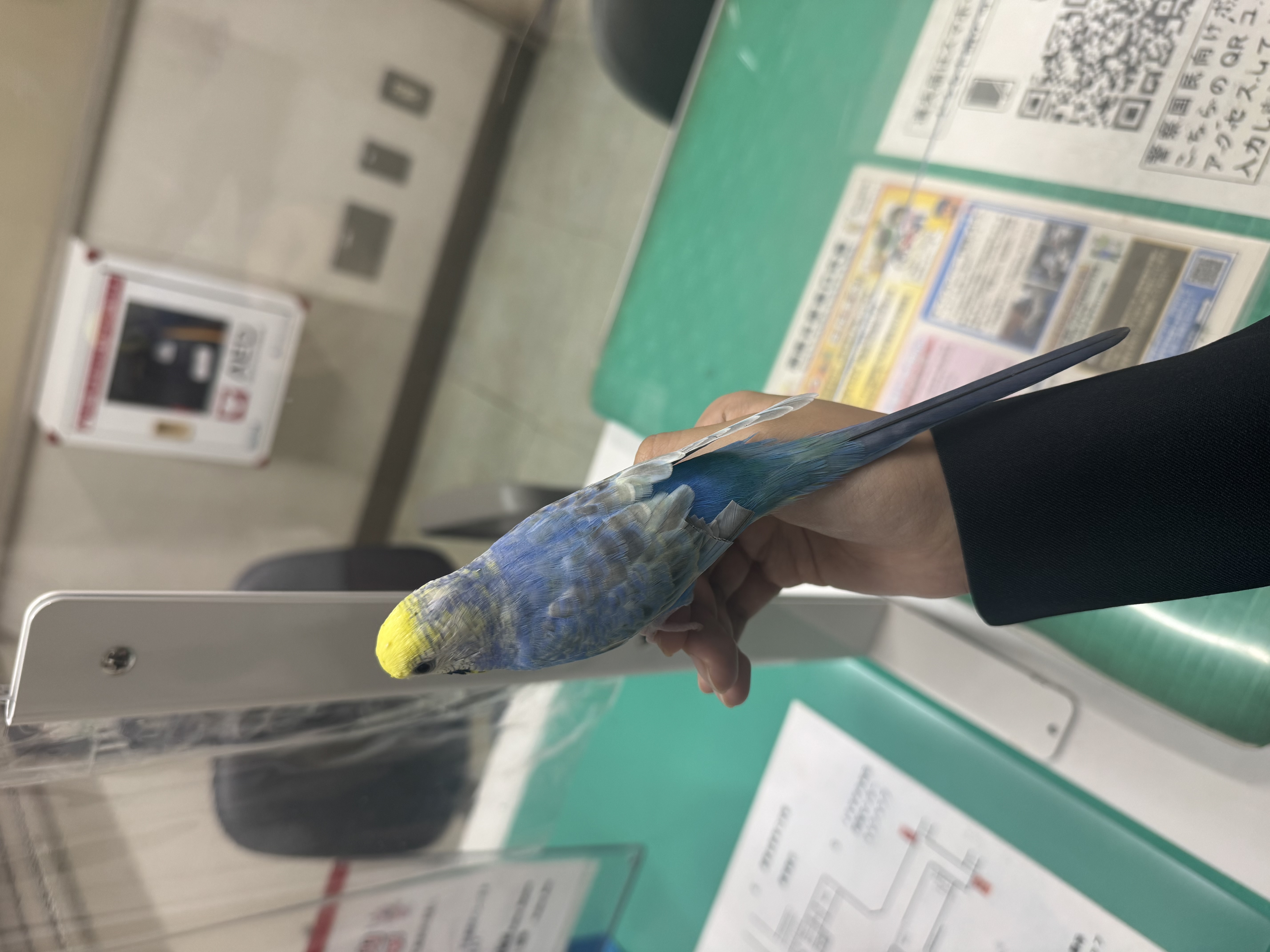 1790387842-IMG_8816.jpeg