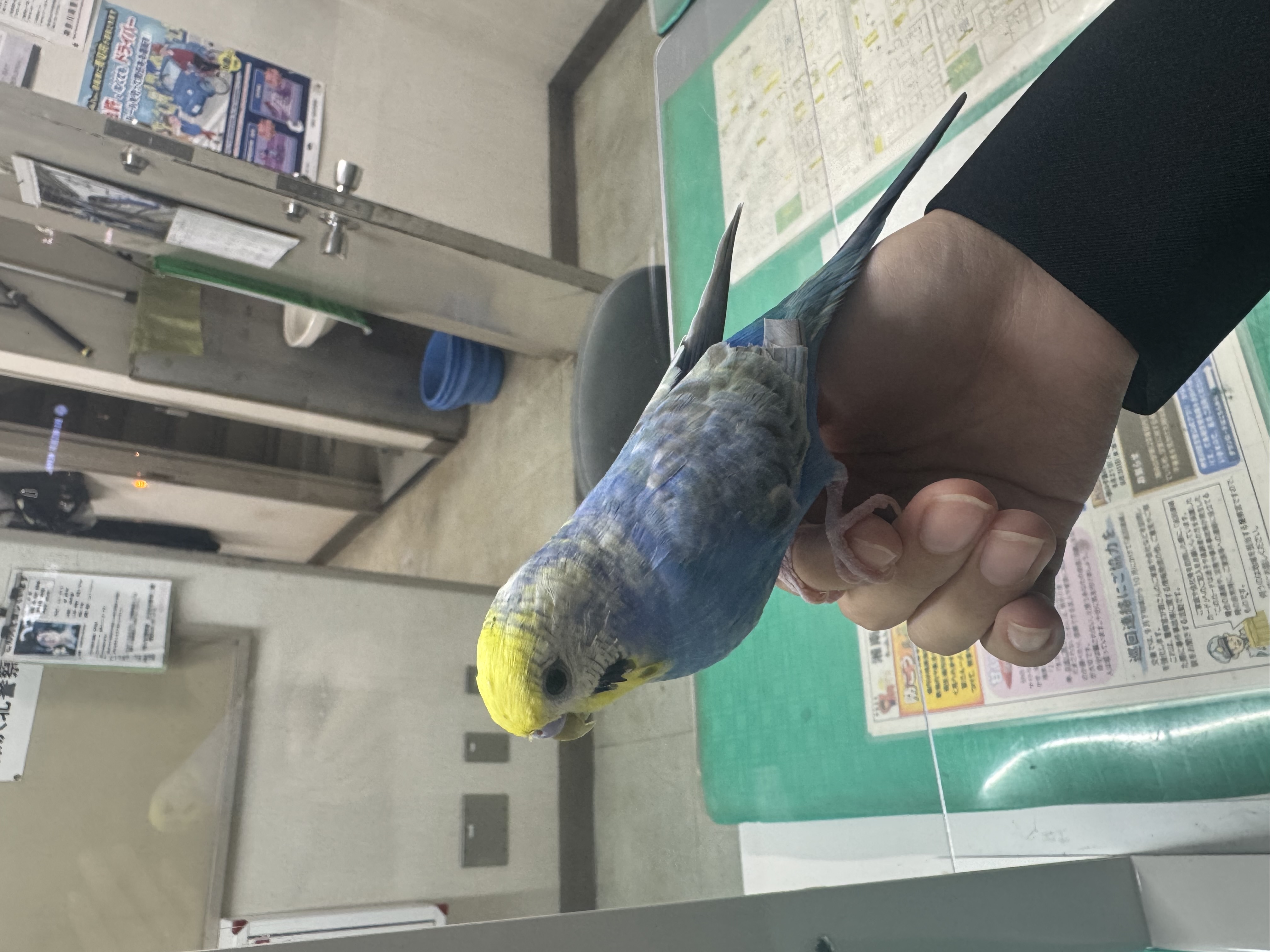 1790387842-IMG_8818.jpeg
