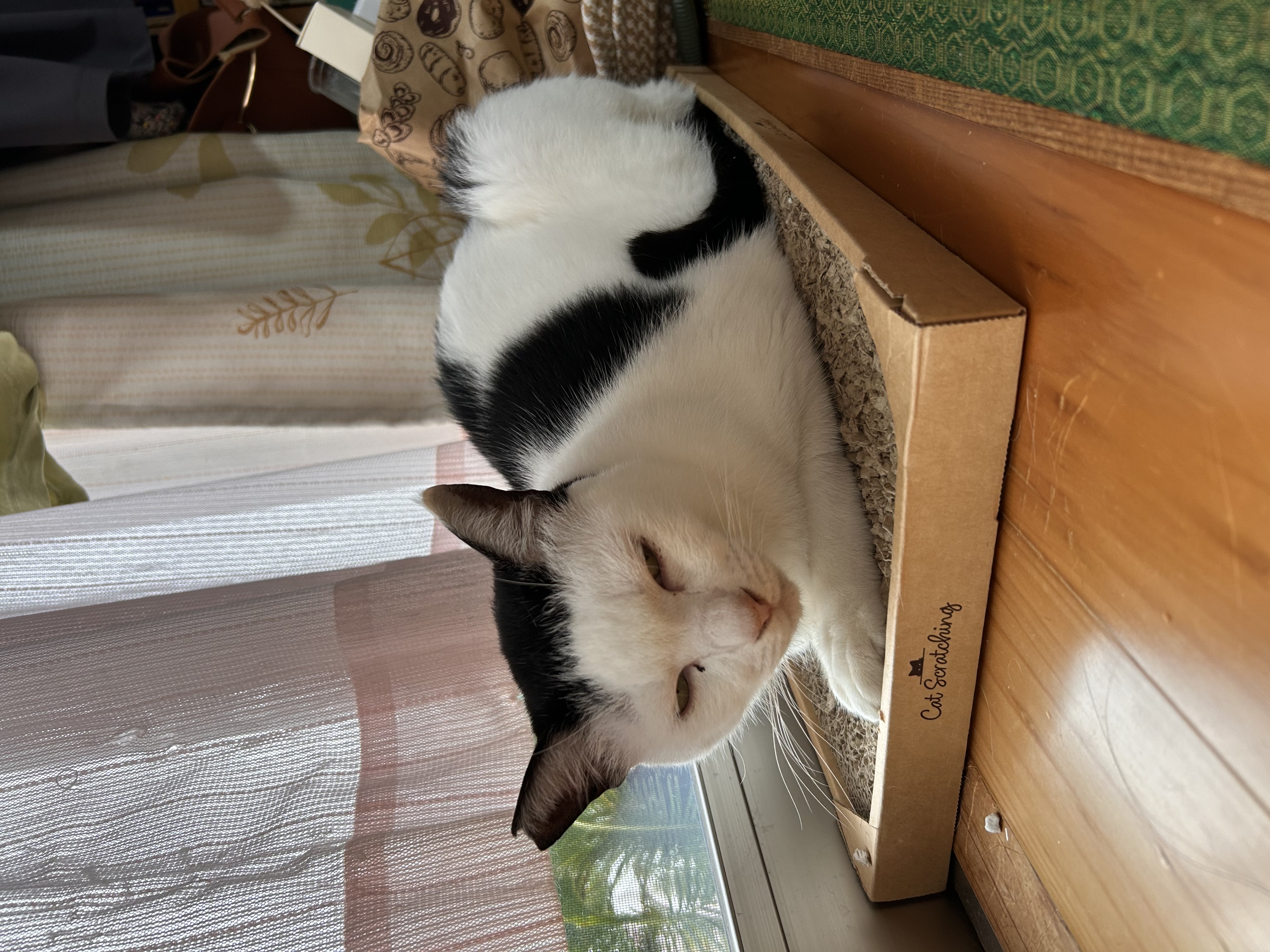 1790689737-IMG_3603.jpeg