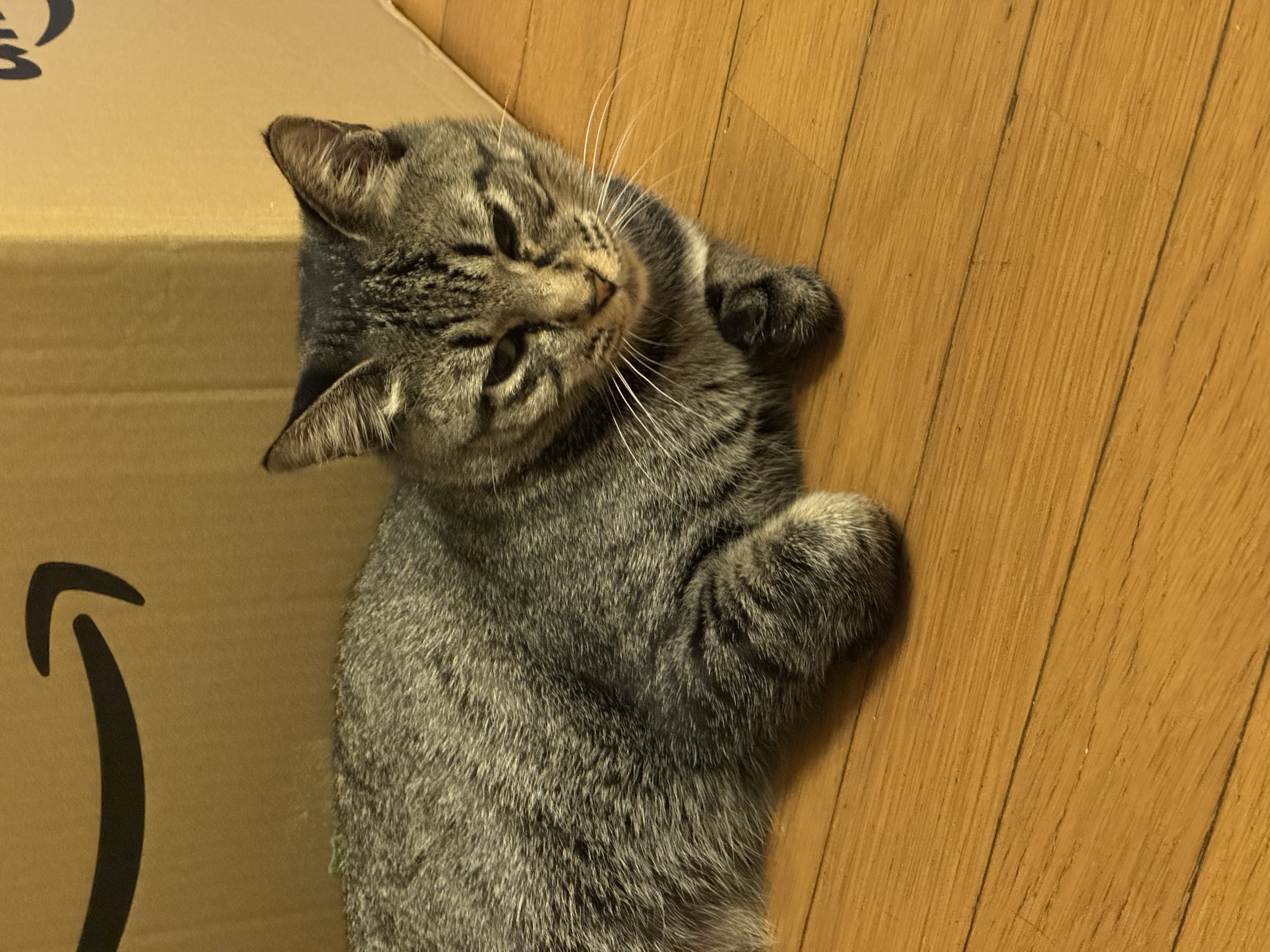 1791516138-IMG_3463.jpeg