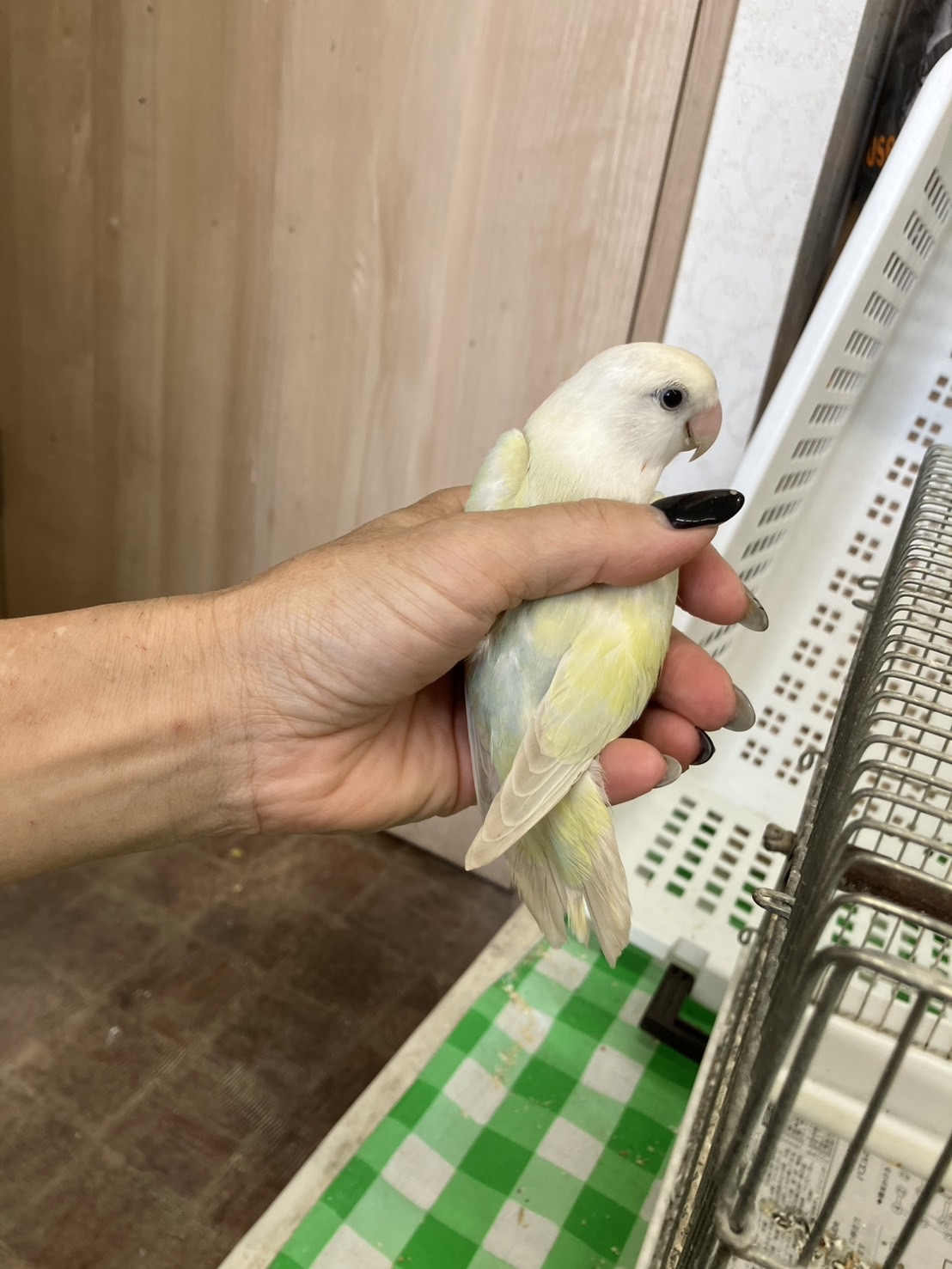 1791771444-IMG_9378.jpeg